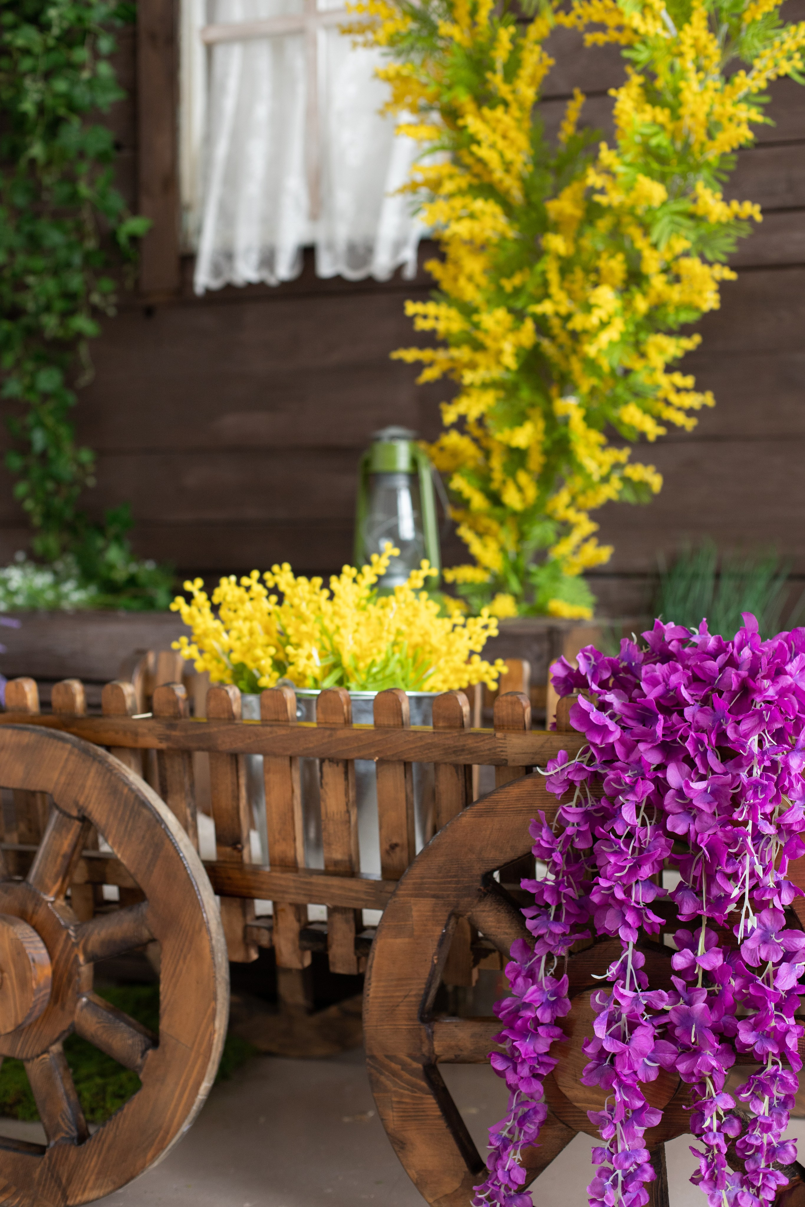 Буфет (студия Зеркало). Фотограф г. Хабаровск. Семейные и индивидуальные съёмки