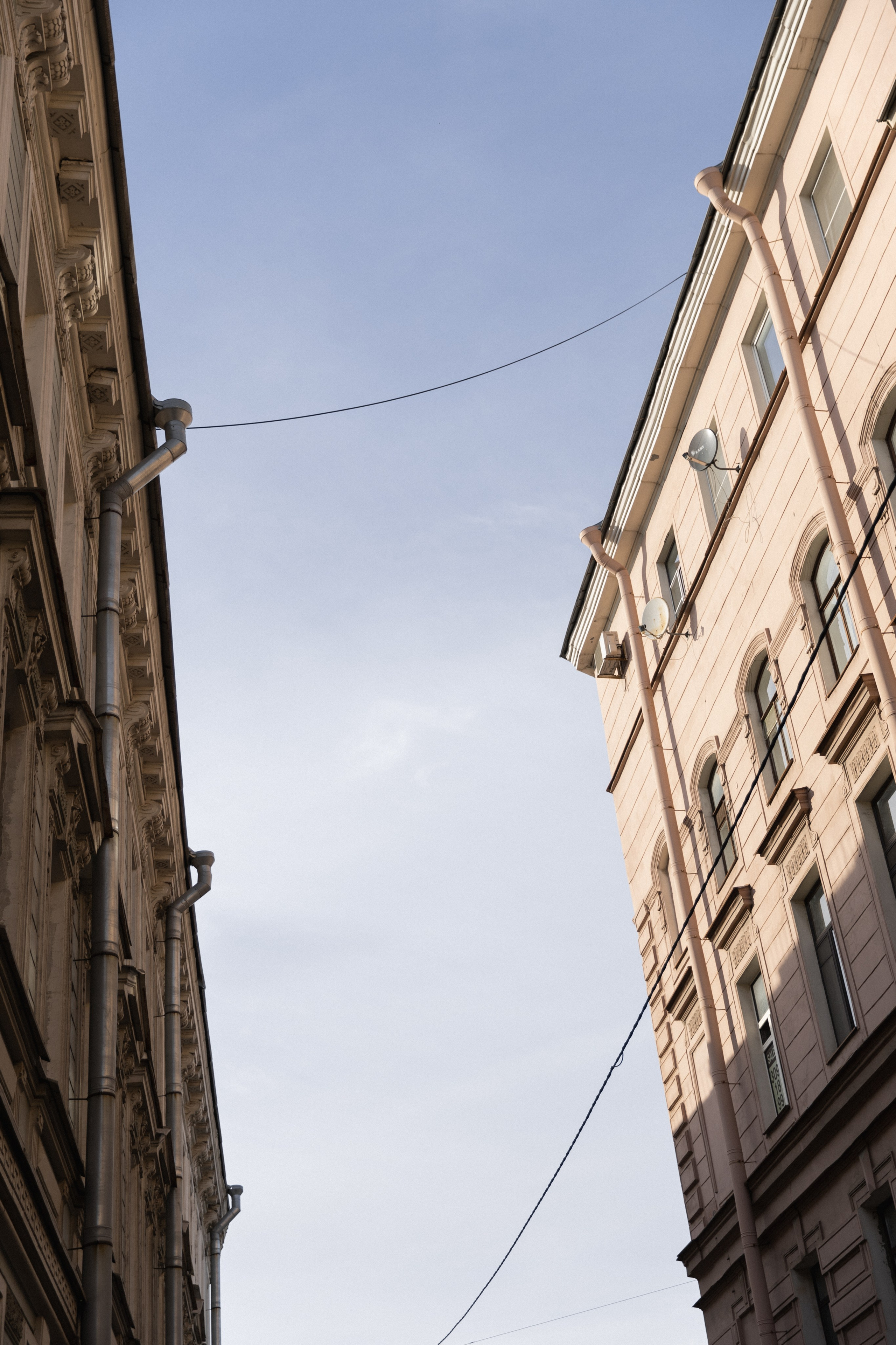 Парадная Ромашка. Фотограф Вышний Волочек/Тверь/Москва/Санкт-Петербург