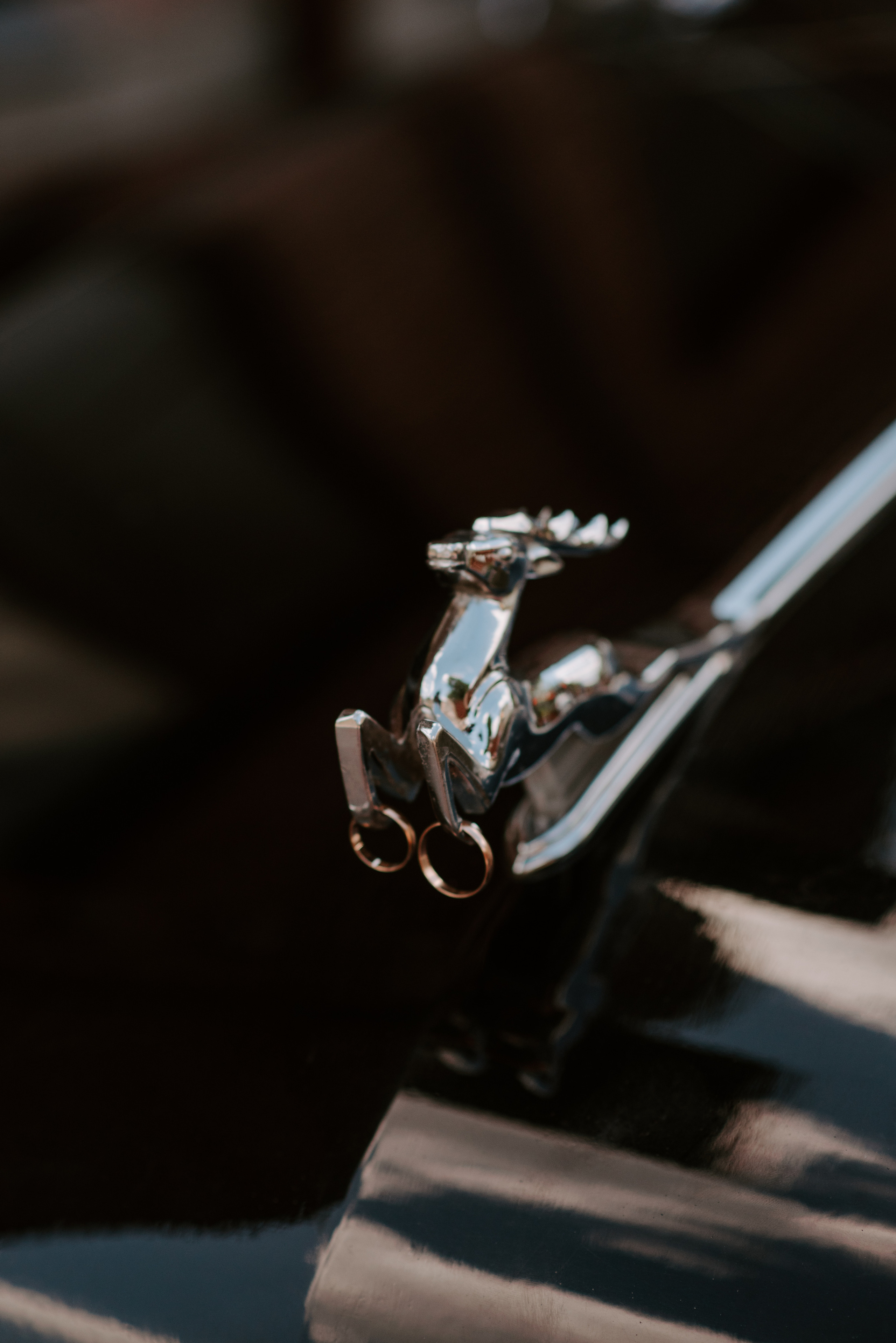 День для двоих. Свадебный, репортажный и семейный фотограф в Москве Арина Зак