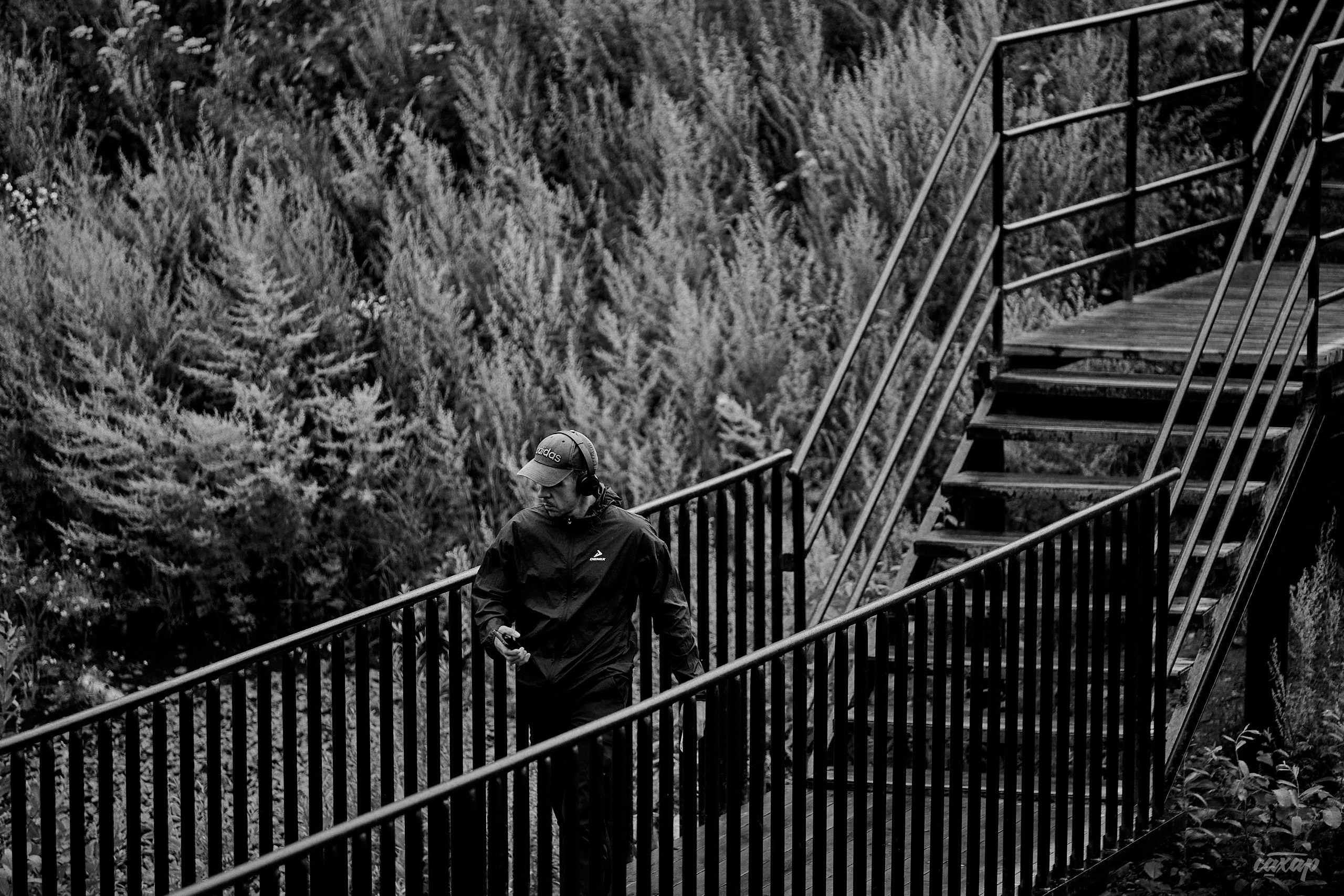 2024_07_25_ Не чай с Сахаром #6. Профессиональный фотограф в Екатеринбурге Юра Сахар