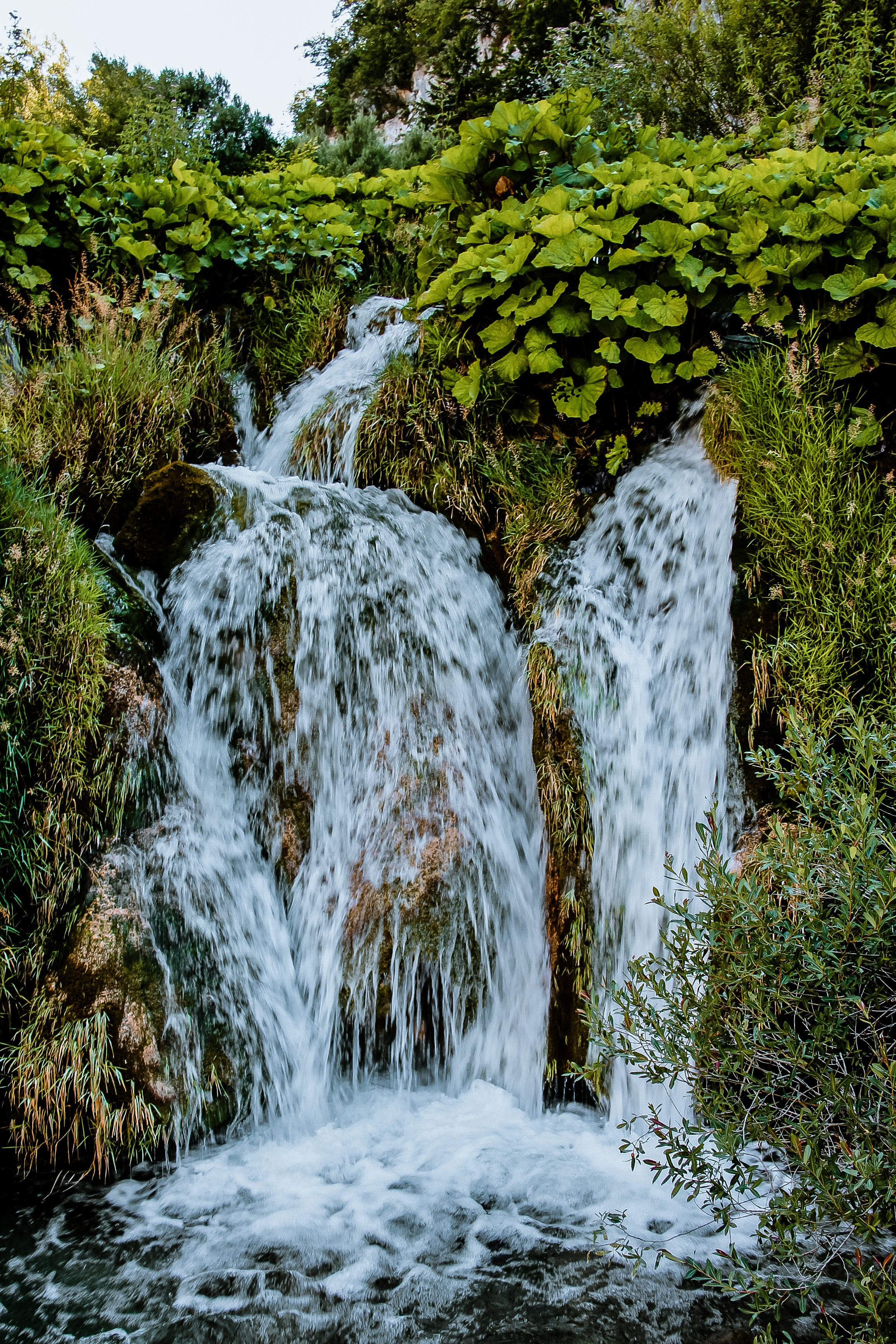 Хорватия: Плитвицкие озера. Дарья Письменюк / Darya Leitstern — фотограф, музыкант, журналист, путешественник