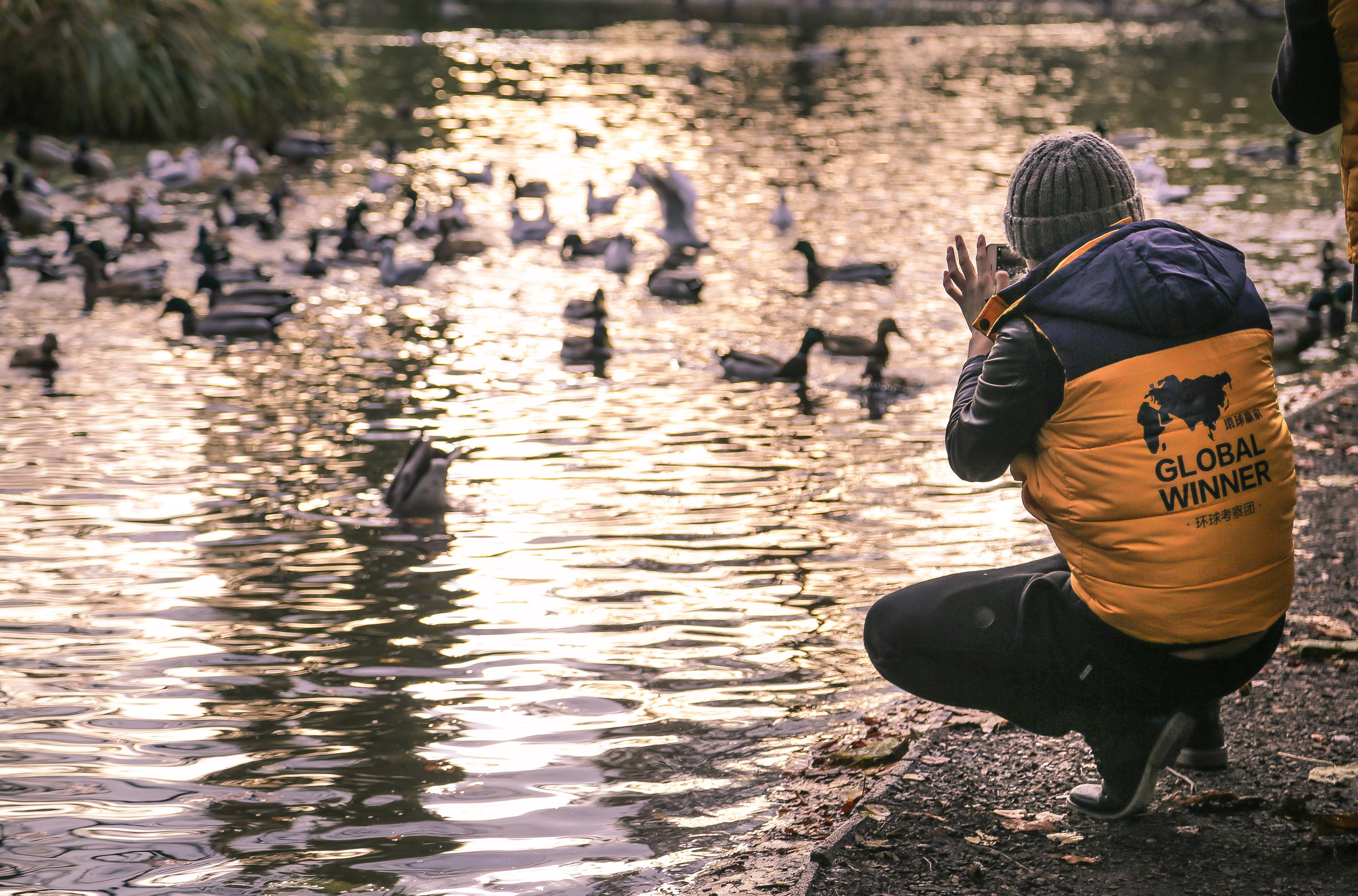 Австрия: Вена — Святой Стефан, Штадтпарк, Бельведер. Дарья Письменюк / Darya Leitstern — фотограф, музыкант, журналист, путешественник