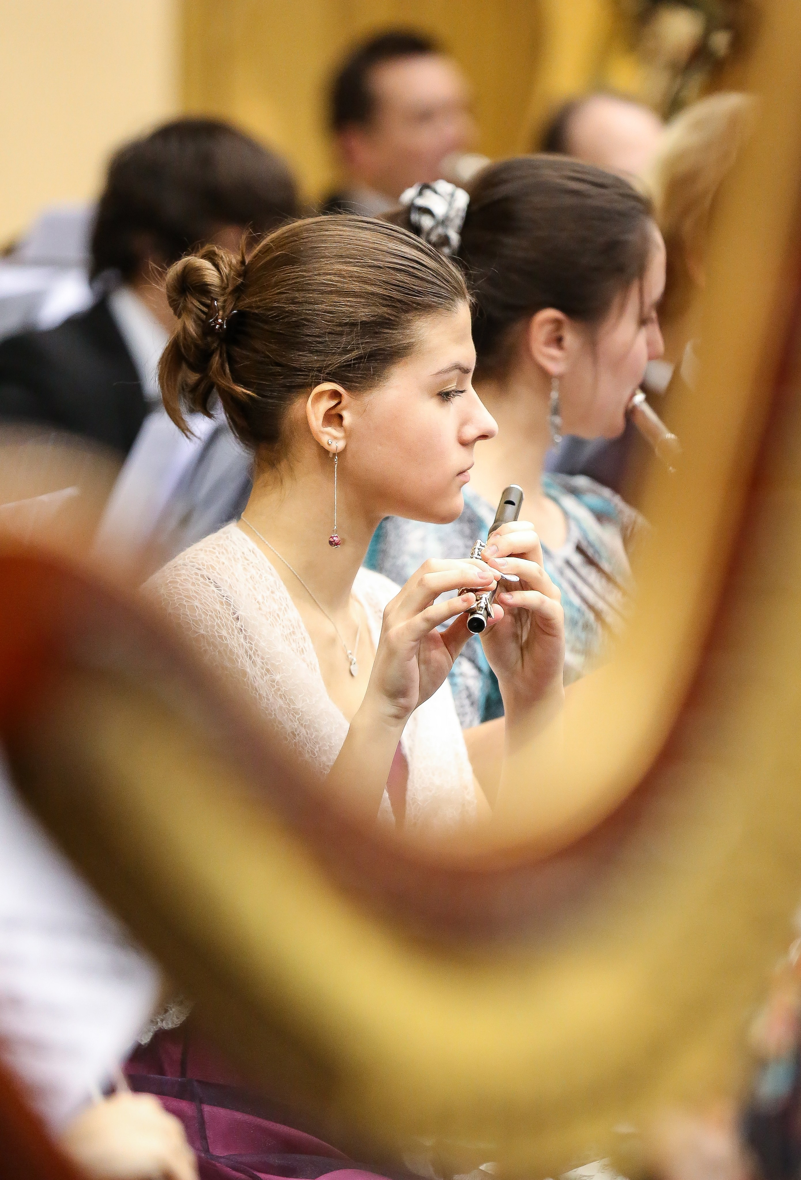 Концерт «Приглашение к танцу» в Музее Пушкина. Дарья Письменюк / Darya Leitstern — фотограф, музыкант, журналист, путешественник