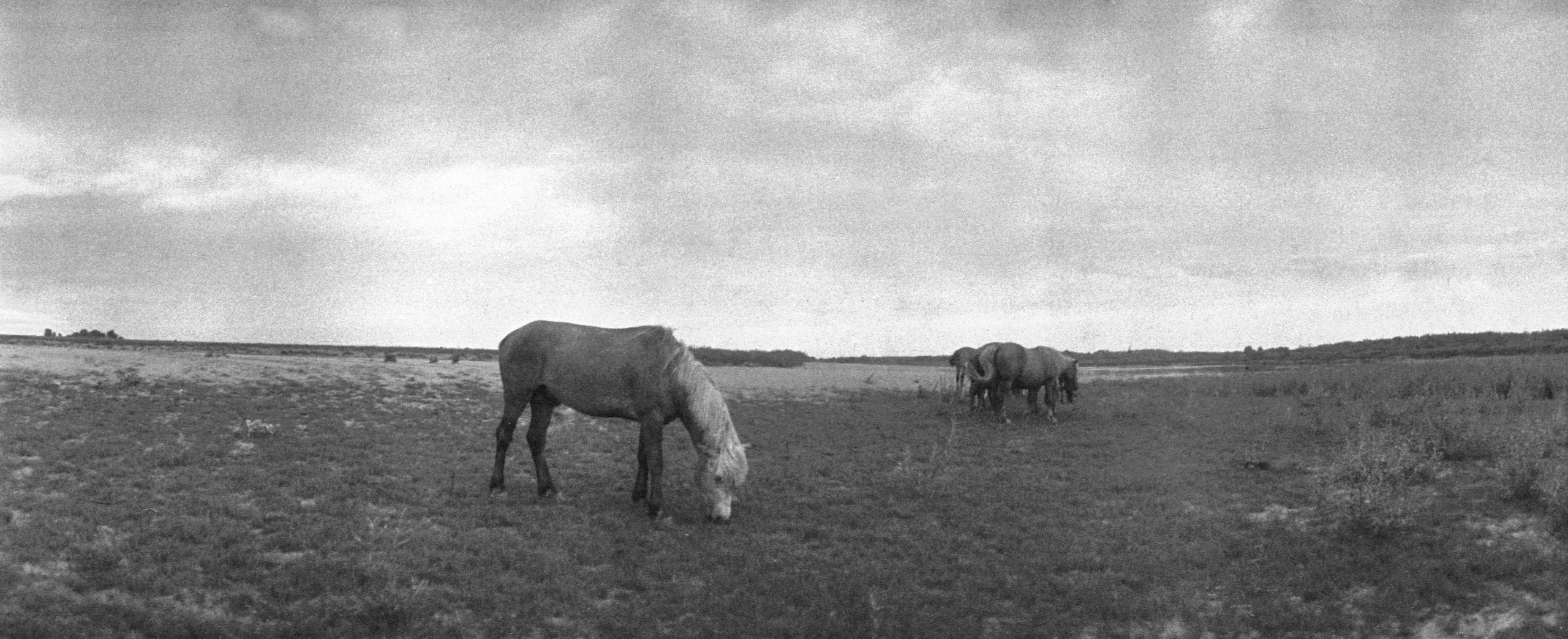 Было лето. Часть 3. ФОТОГРАФ ЛИЛИЯ БИЧУРИНА