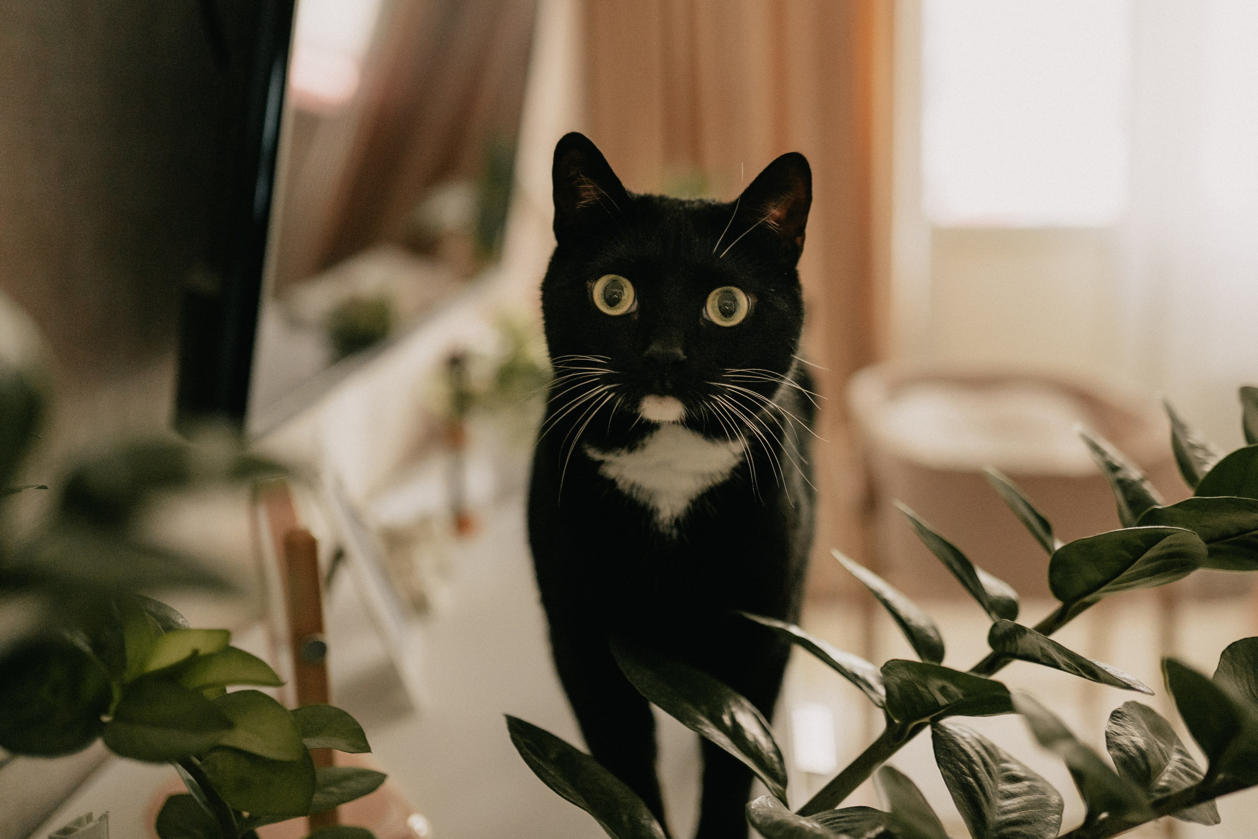 Таня и Маруся. Семейный фотограф Москва