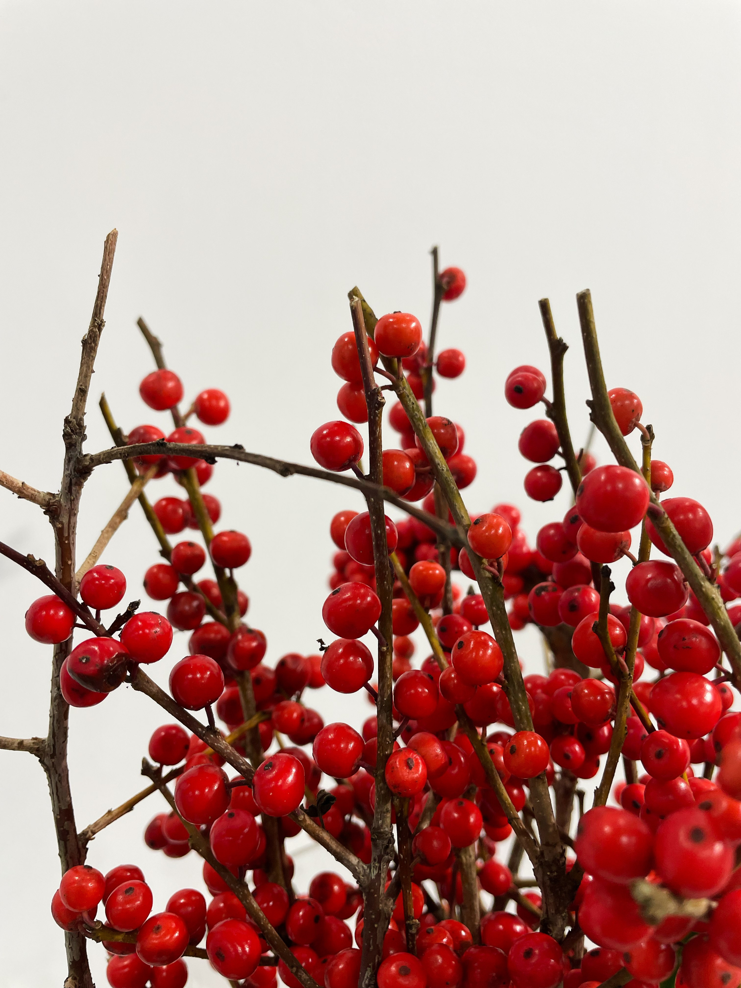 Новый год. Декоратор Флорист в Тольятти, Самаре, Москве