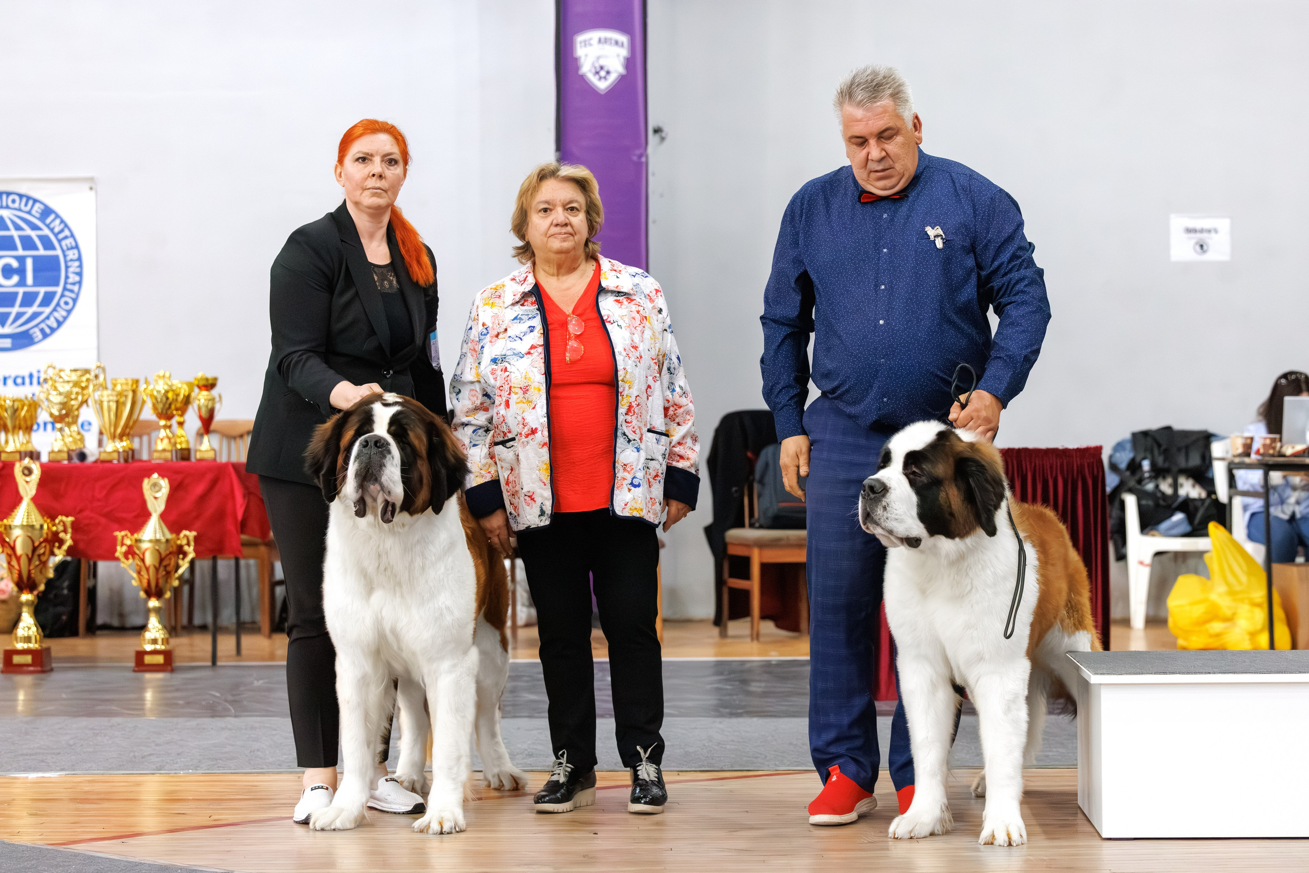 Ереван 2х CACIB 29-30.04.2025. Фотограф-анималист Юлия Германика