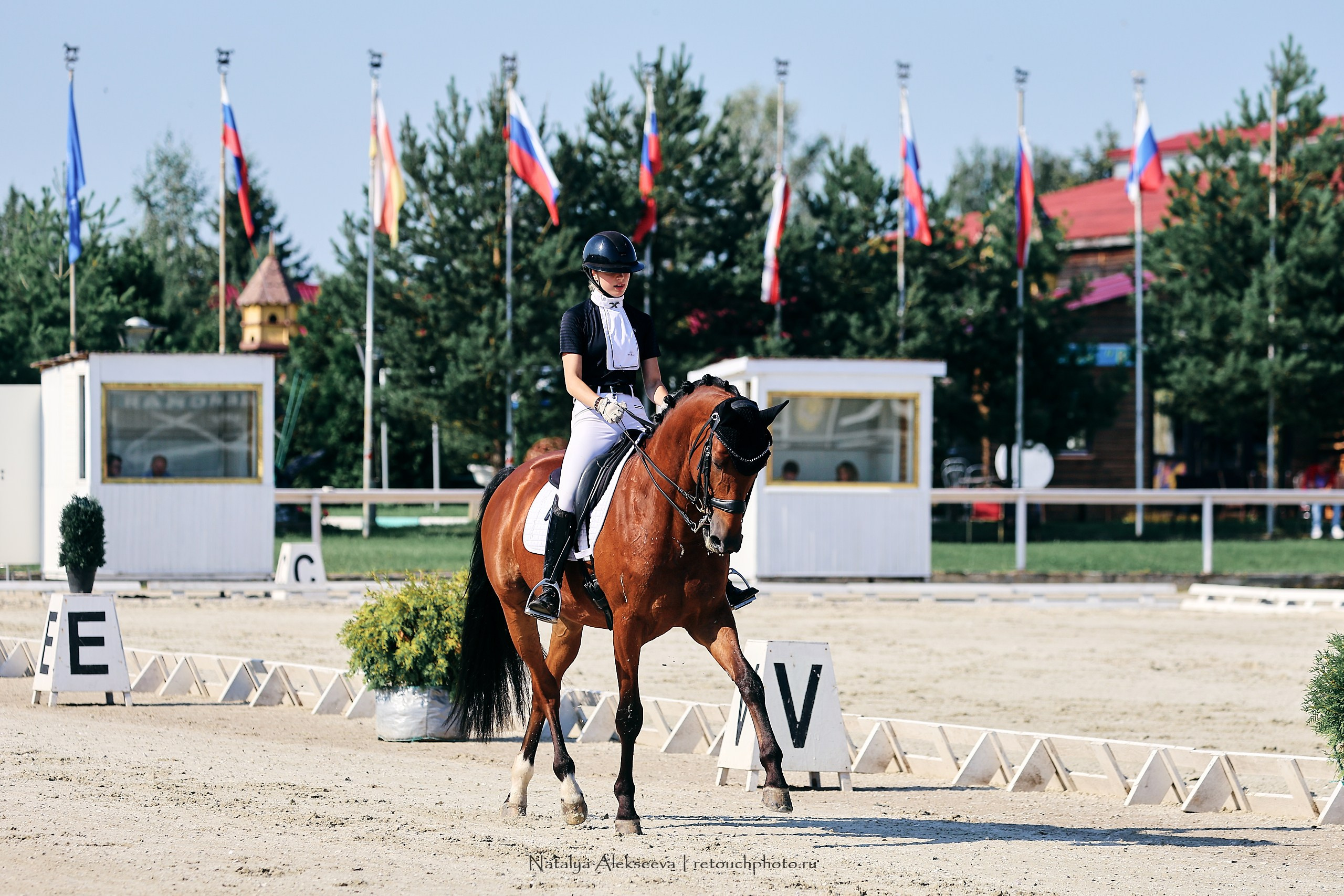 Личный ЧР по выездке, КСК Конаковские конюшни | 08'2023. Репортажный фотограф и ретушер в Москве Наталья Алексеева