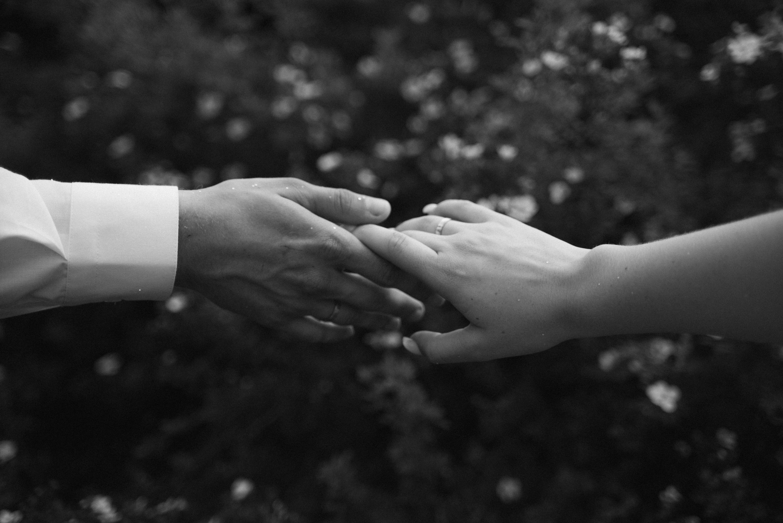 Михаил и Александра. Свадебный и портретный фотограф в Брянске и Москве Алина Химушкина