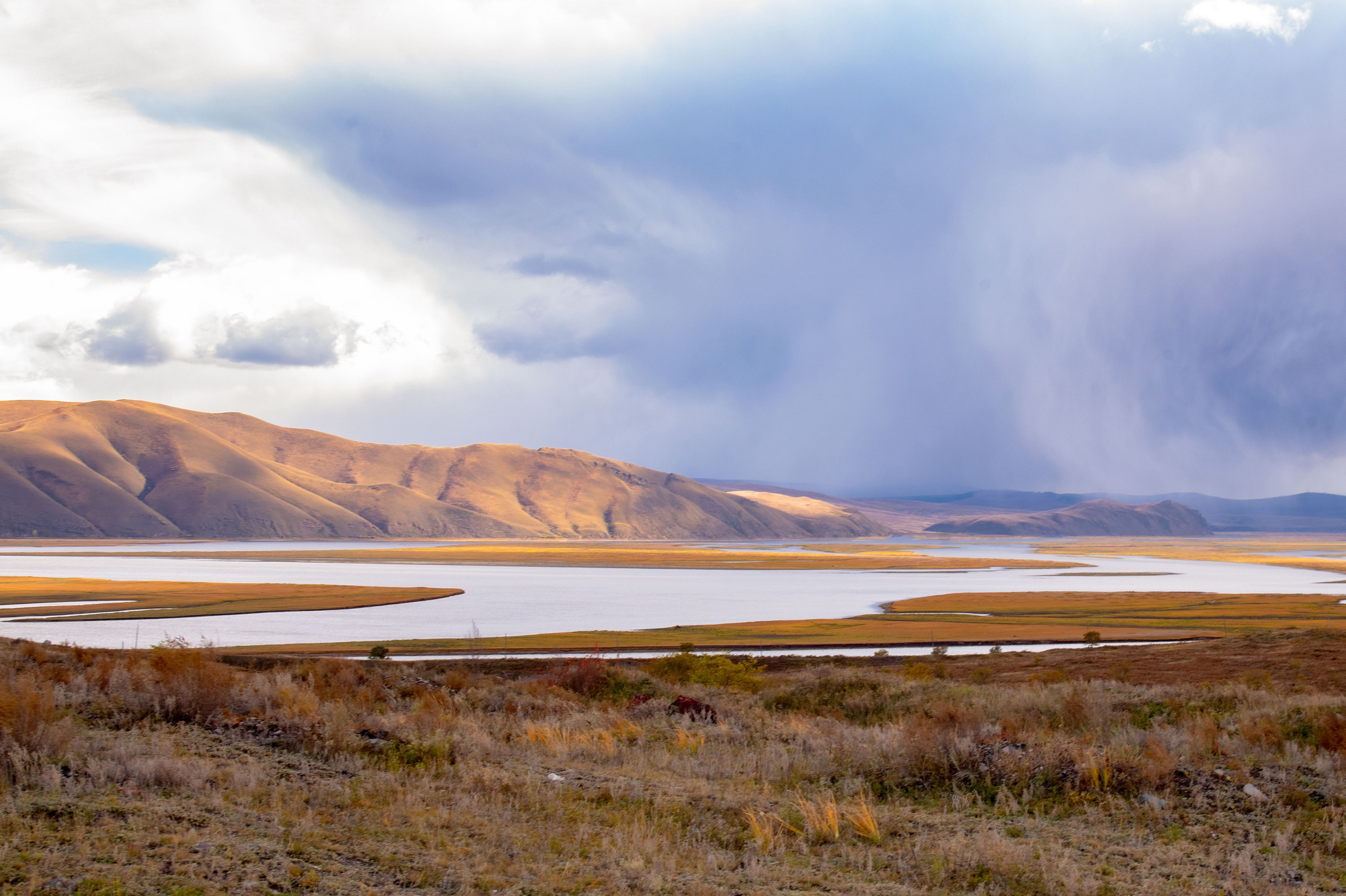 Природа. Александра Панина фотограф, портрет, семья, бизнес, Новосибирск