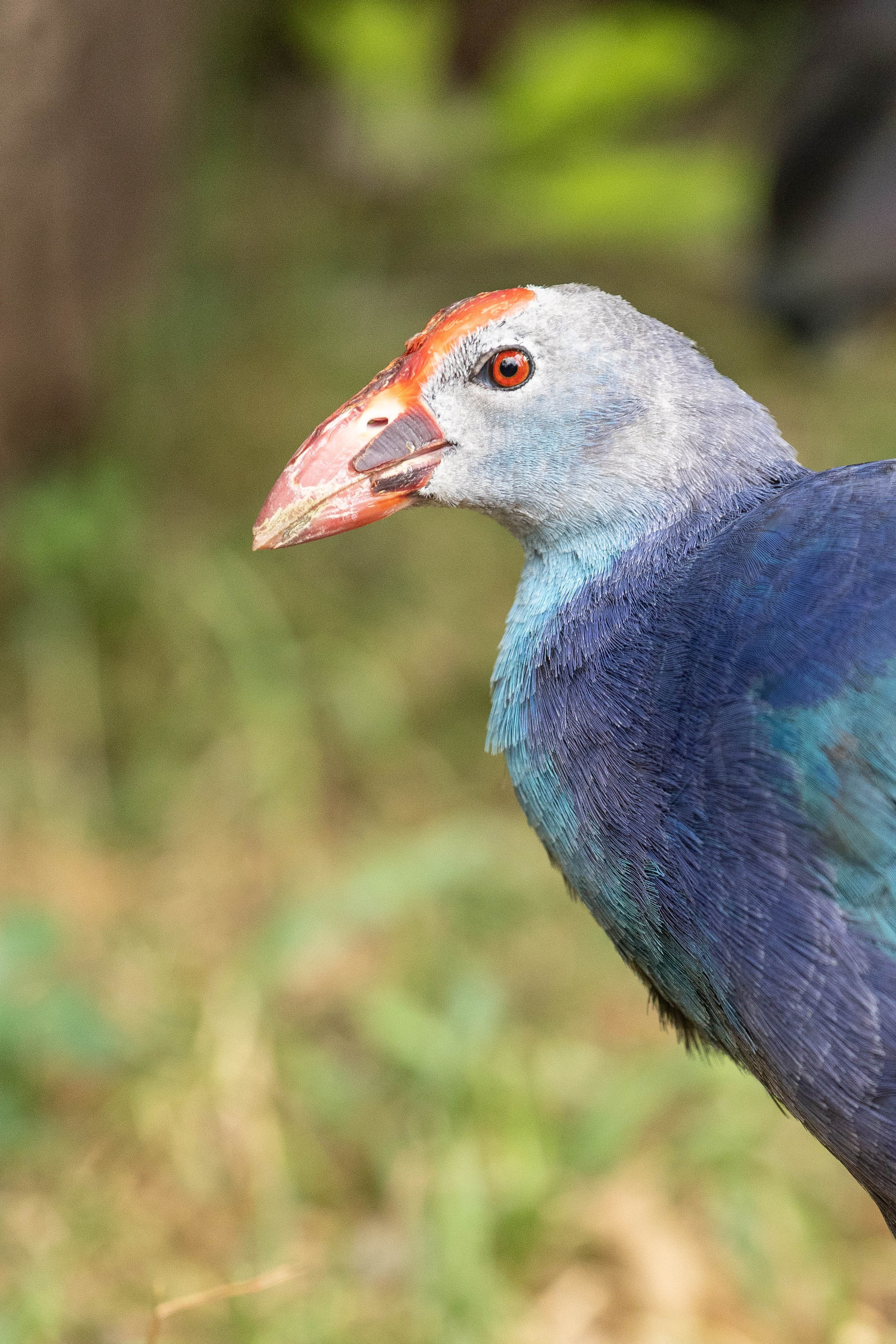 Зоопарк Малинки. Фотограф-АниМалист Анна Абрамова