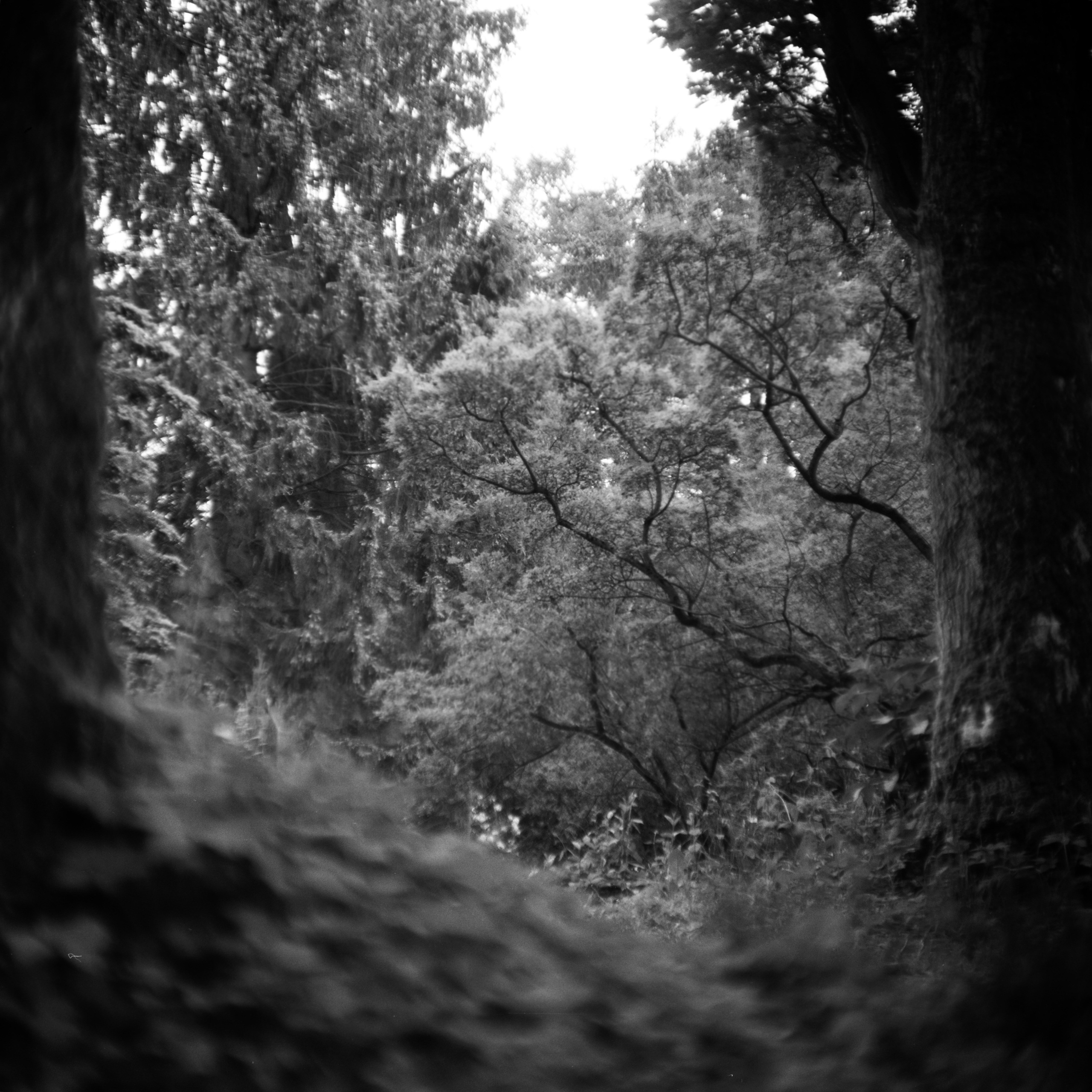 Journal. Photographer Dima Sharov | Фотограф Дима Шаров