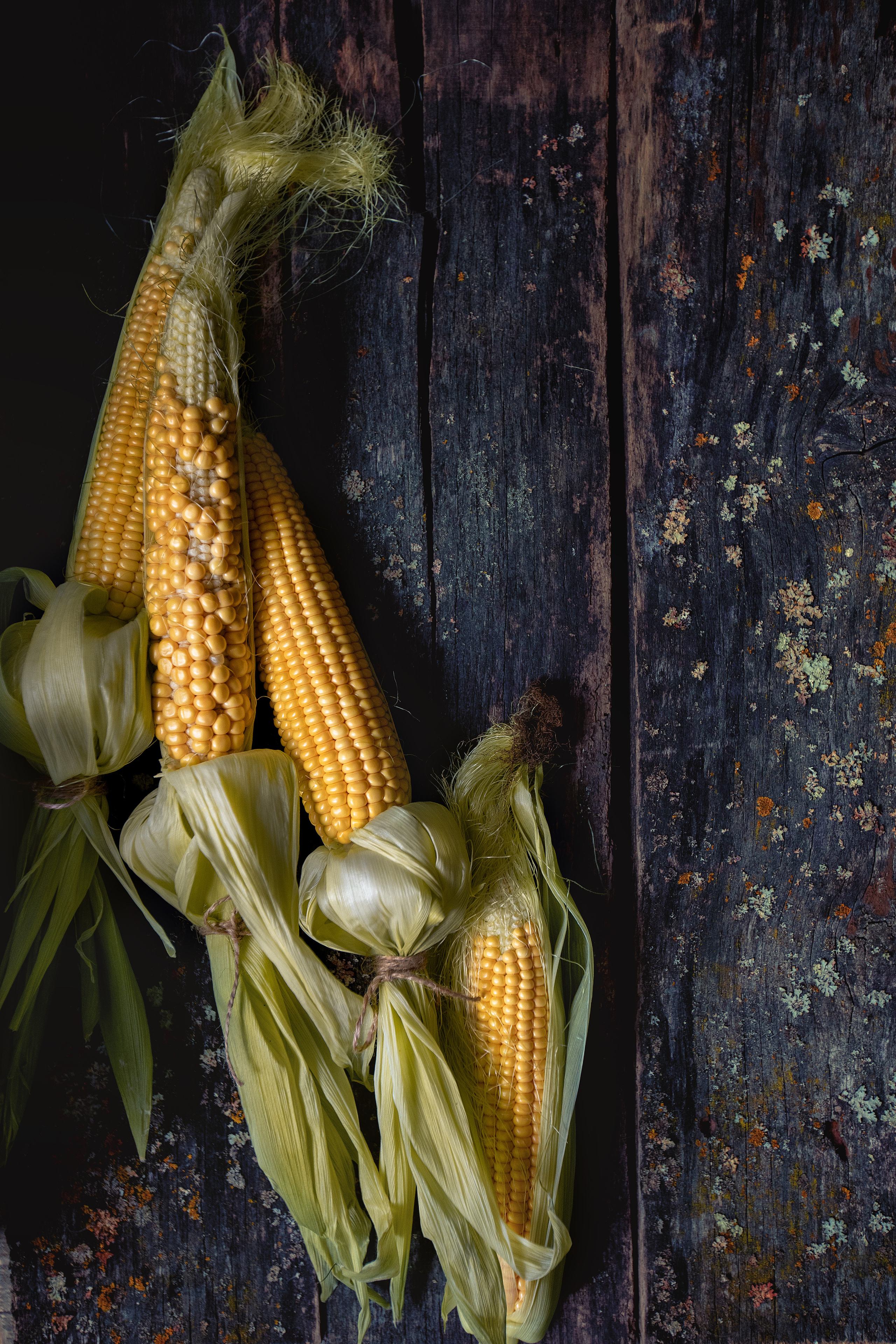 ~предметка~. Фотограф в Краснодаре Дина Павленко