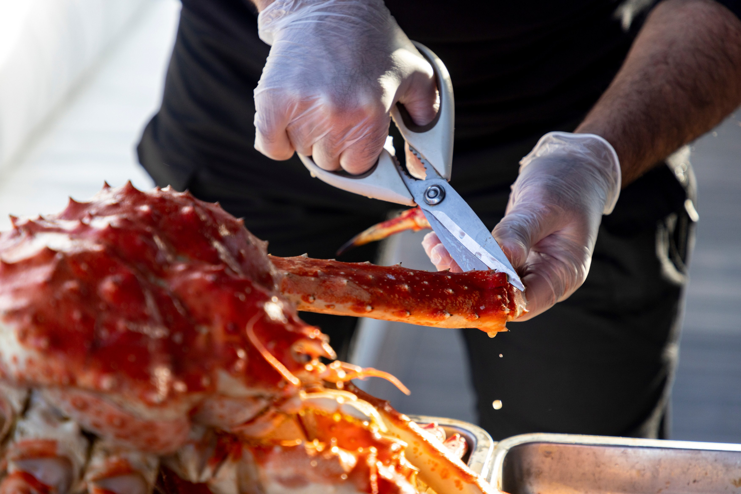 Камчатка + Сахалин — экспедиция в два региона за одну поездку. Время Камчатки: чтобы найти свой путь, нужно скорость умножить на время