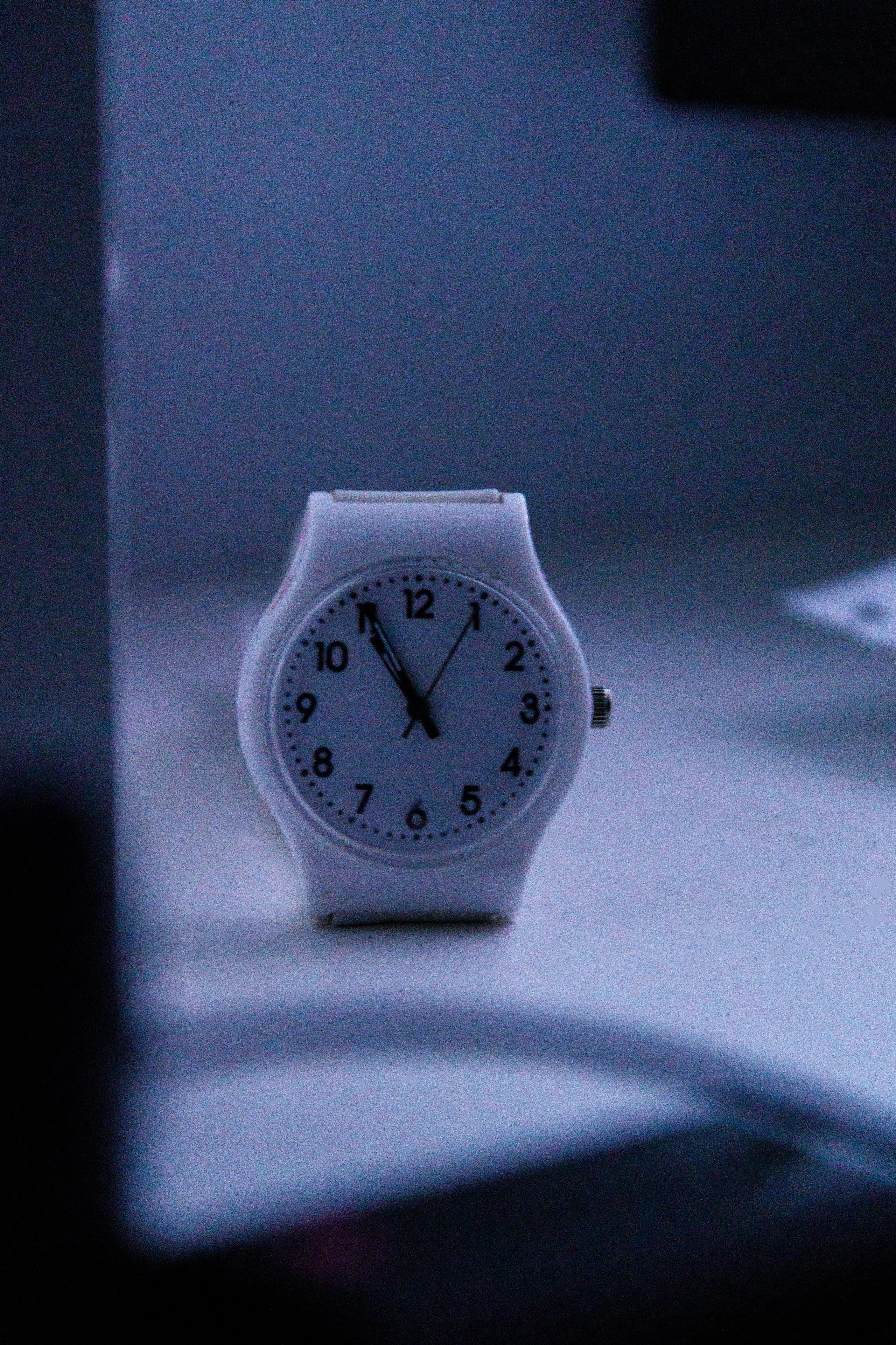 Проект «366»|2024|Фото каждый день. LENA GRACE photographer ||ЛЕНА ГРЭЙС фотограф