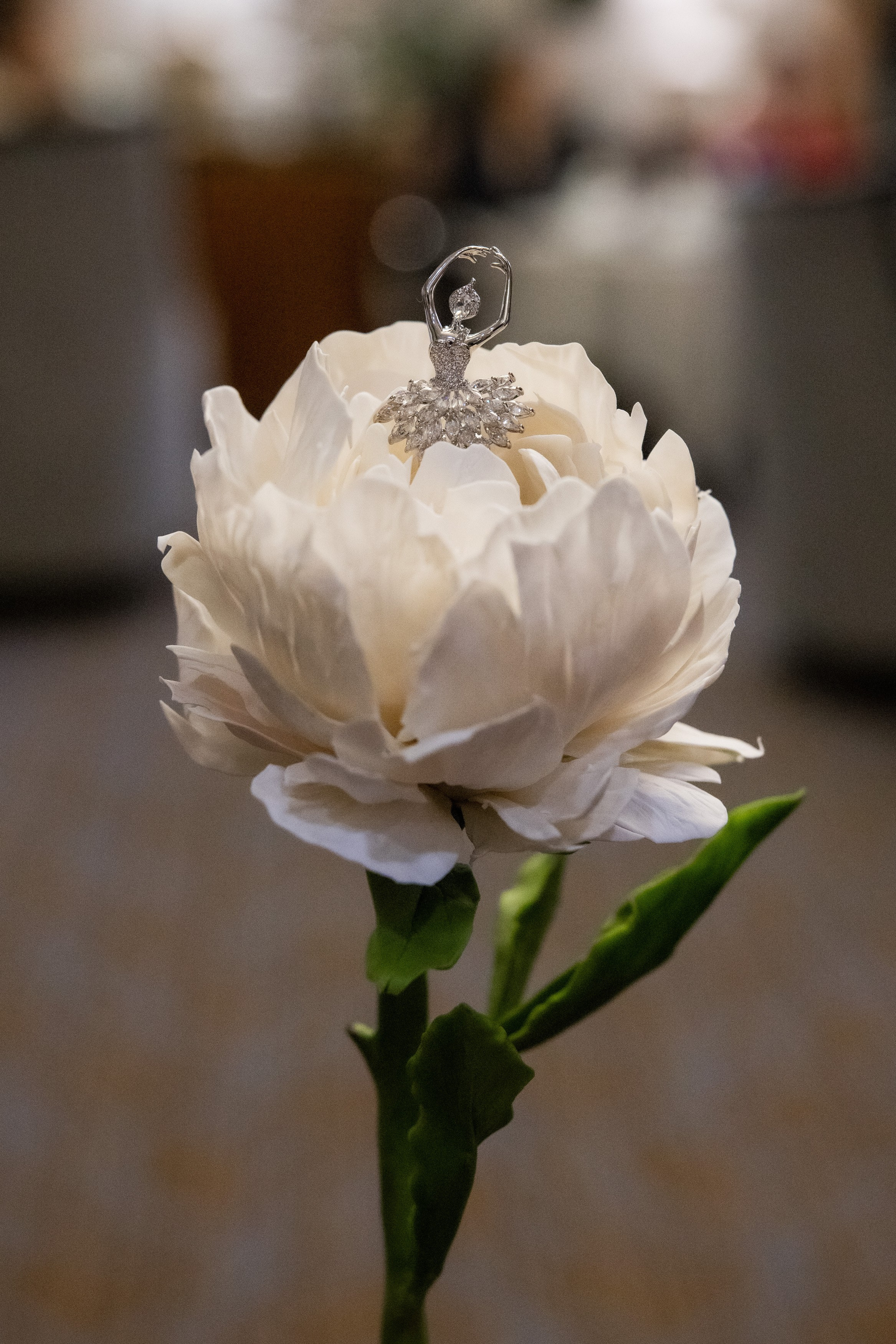 Арт-встреча. Балерины Дружат. Главная