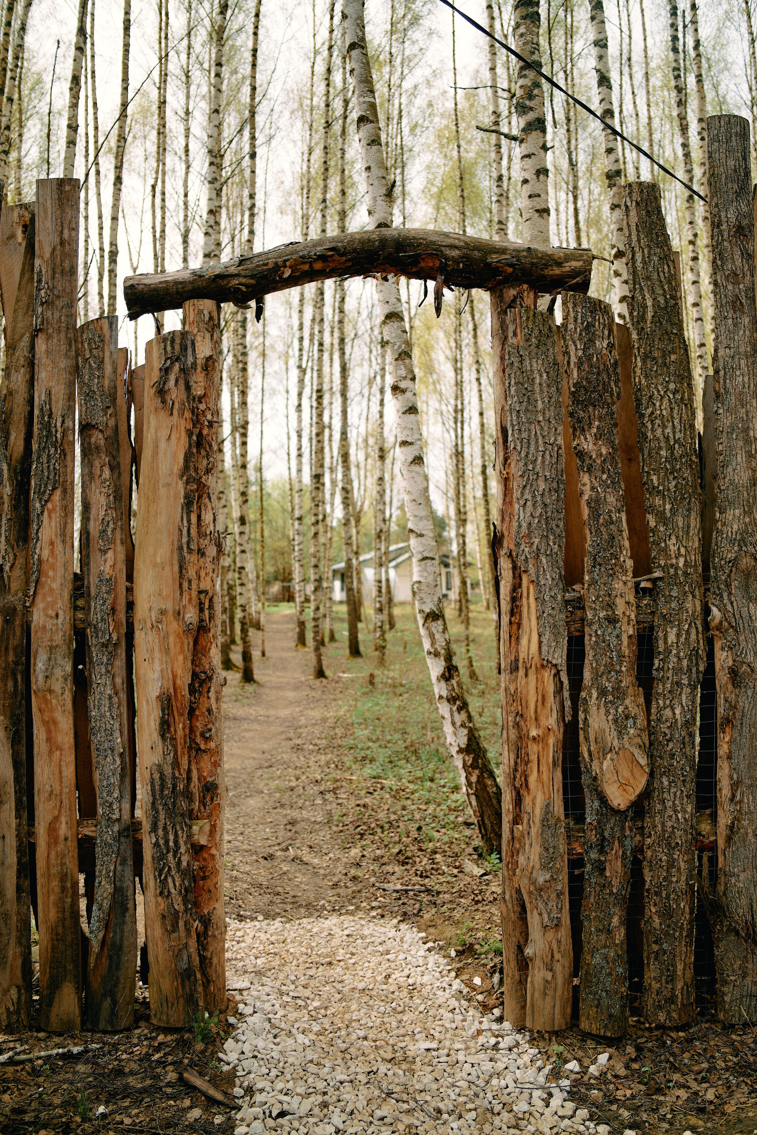 Бутик-отель Поле летом. Профессиональный Фотограф во Владимире, в Москве и в Суздале — Полина Романычева