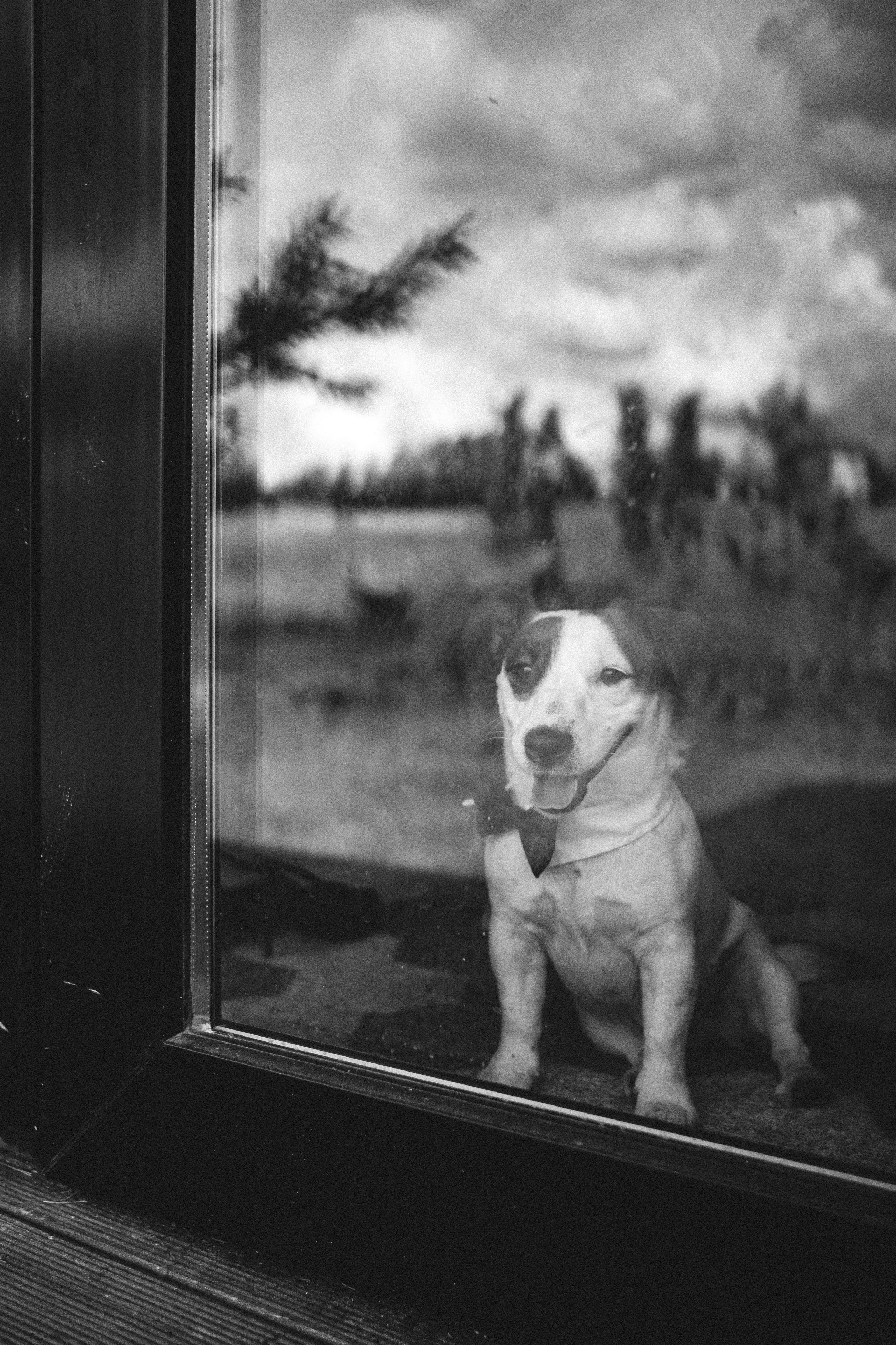 Фотограф в Санкт-Петербурге