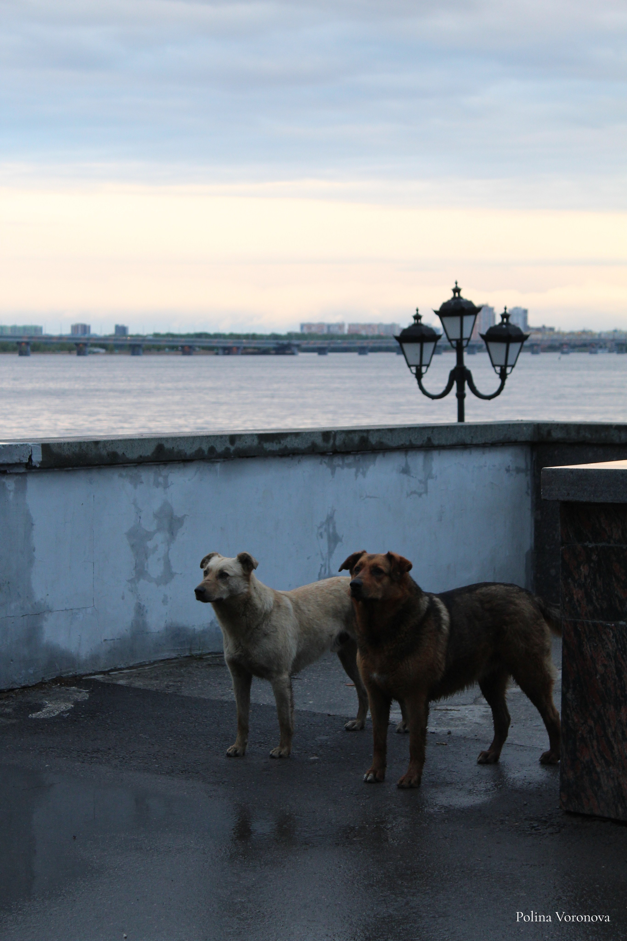 Саратов — город в упадке. Хорошая экспедиция