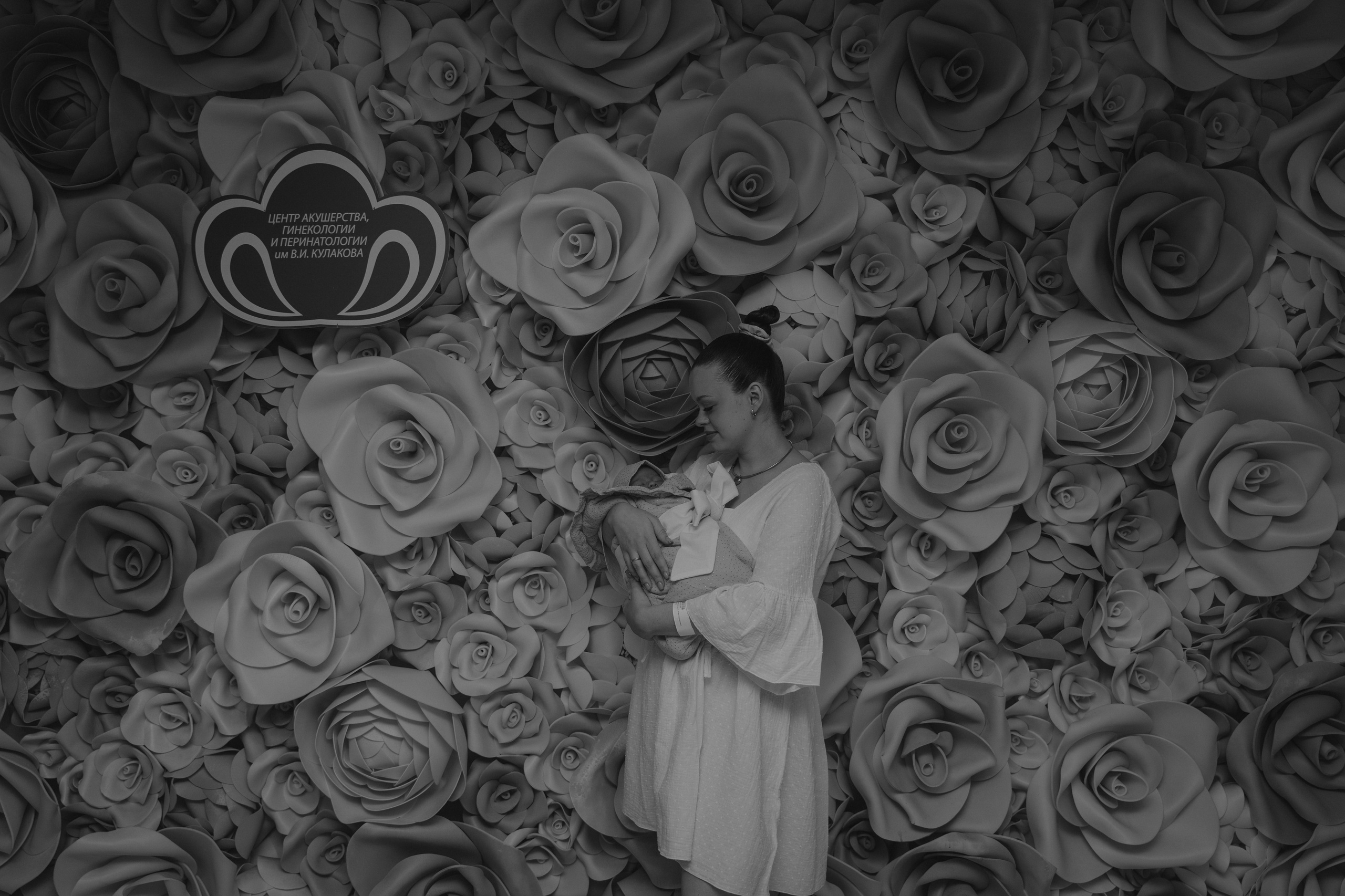 Вика и Дима. Аплас Анастасия