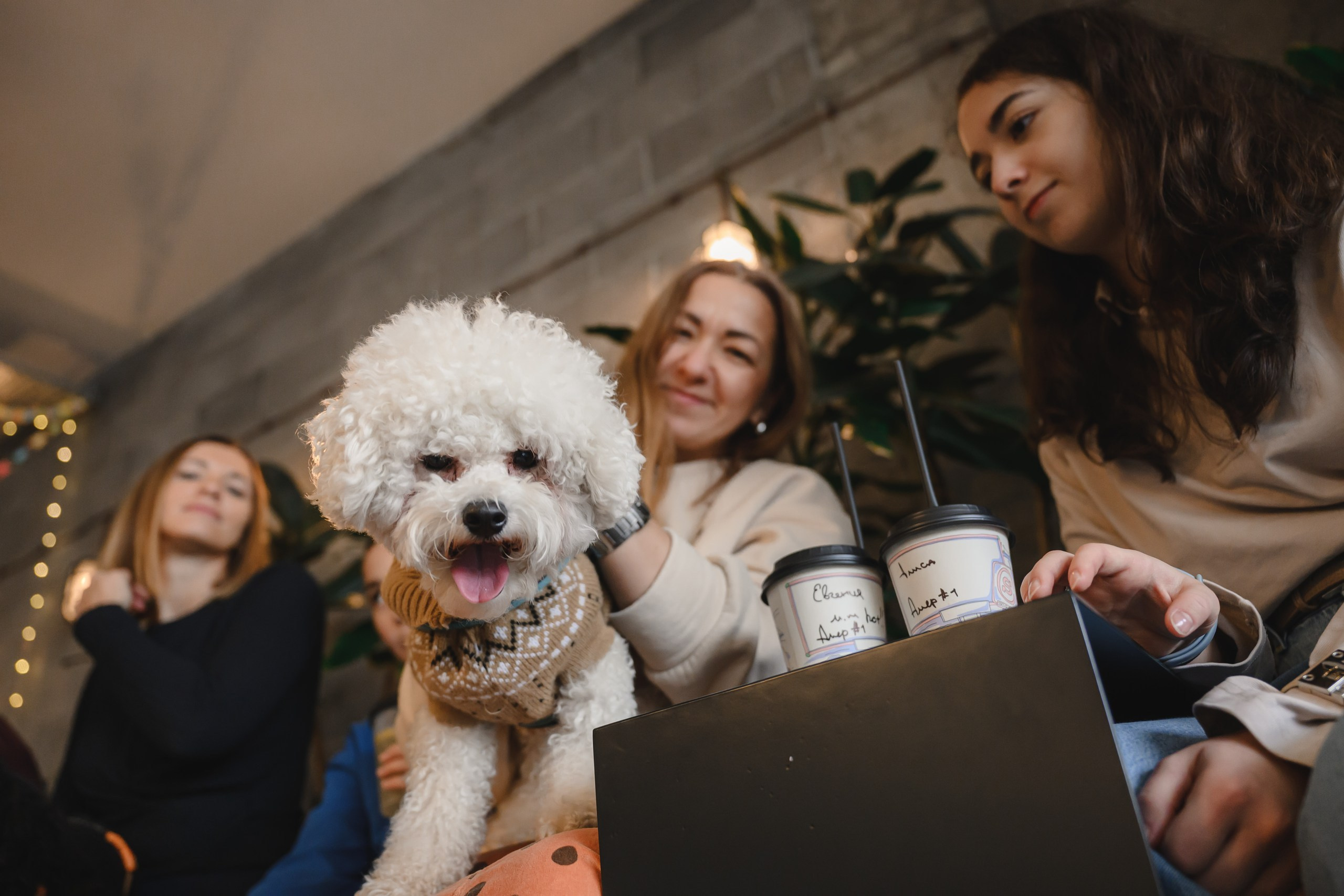 Семейная прогулка