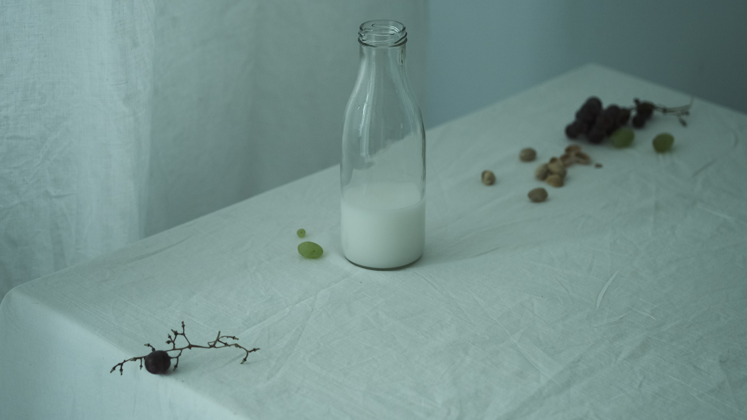 Margarita Rodionova — a contemporary lens-based artist currently working in Cancun, Mexico