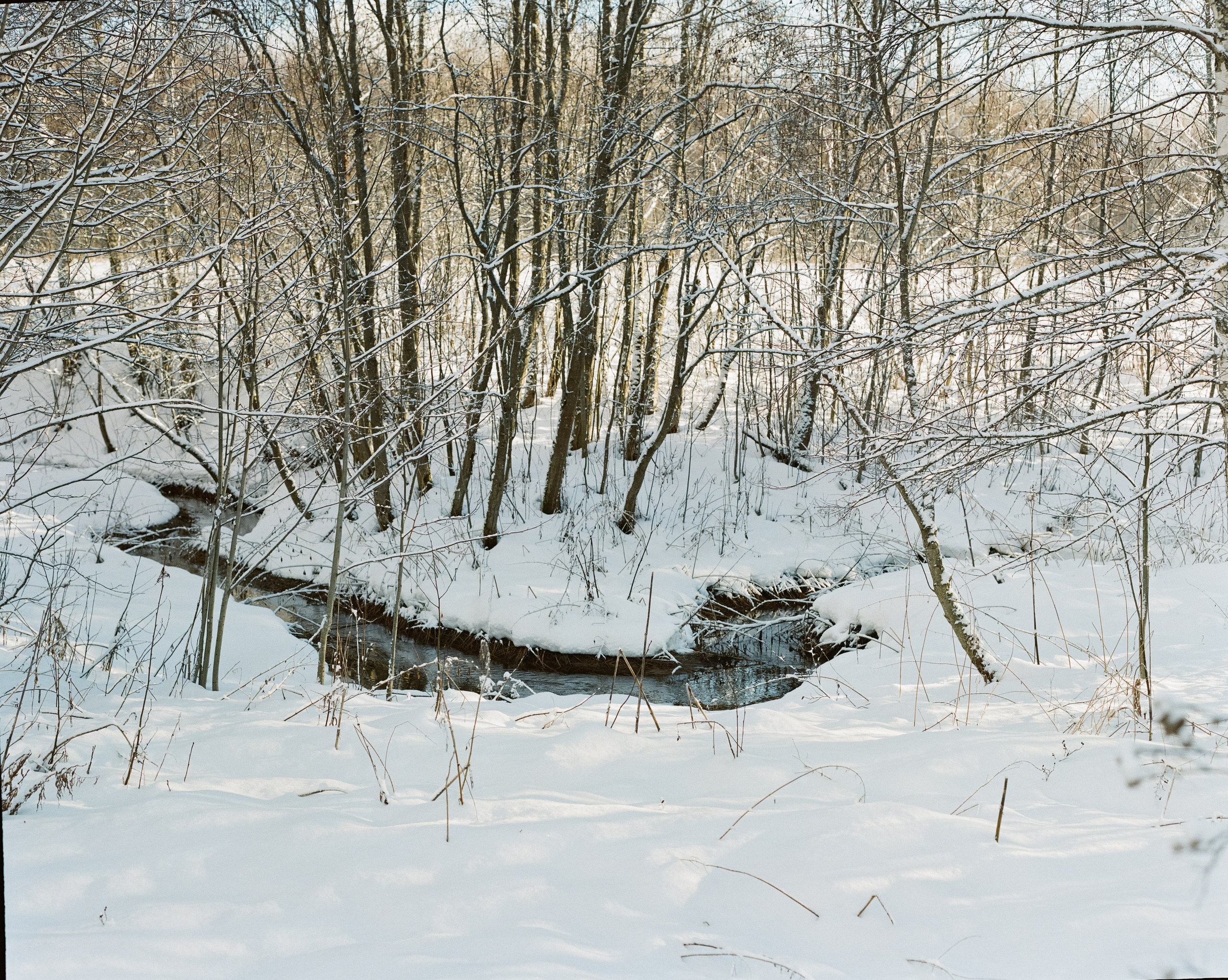 Pentax 67 — SMC Pentax 67 105 mm f/2.4 / Kodak Portra 800 / 3 января Лукино