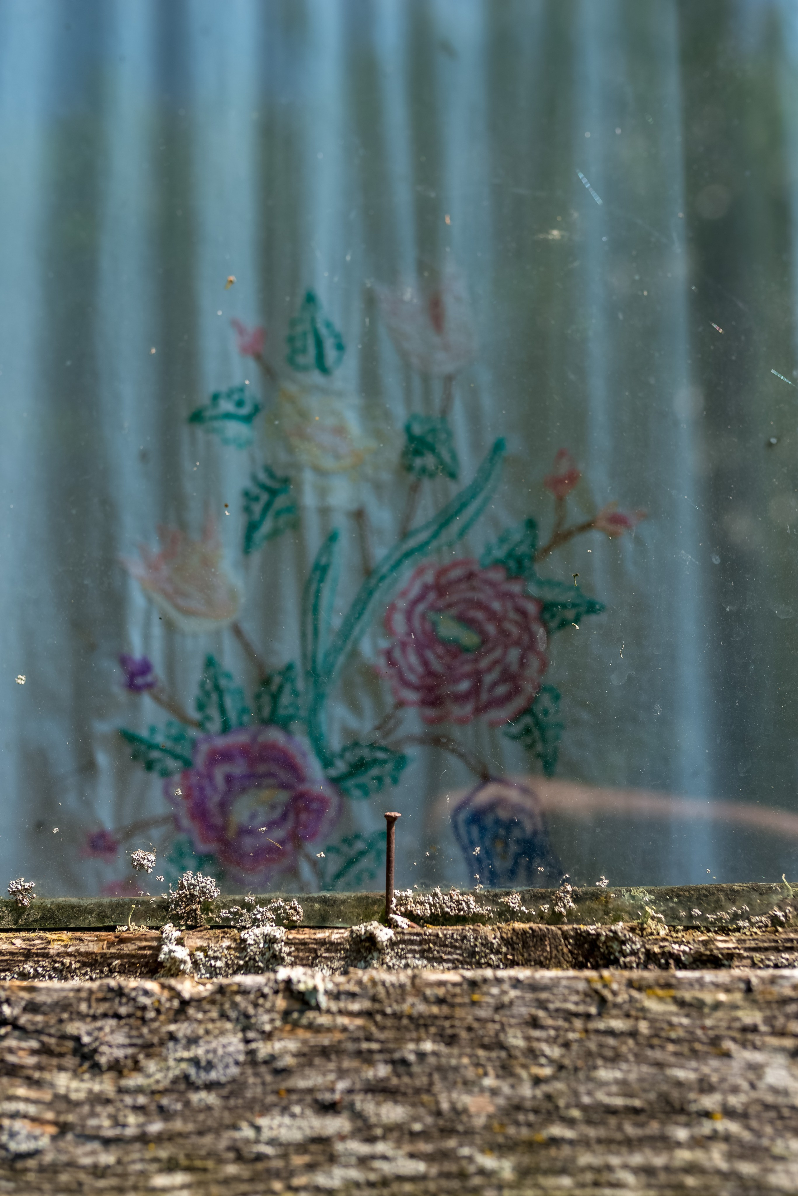 Деревня Барышье. Женский фотограф Крещение Венчание Москва Брянск