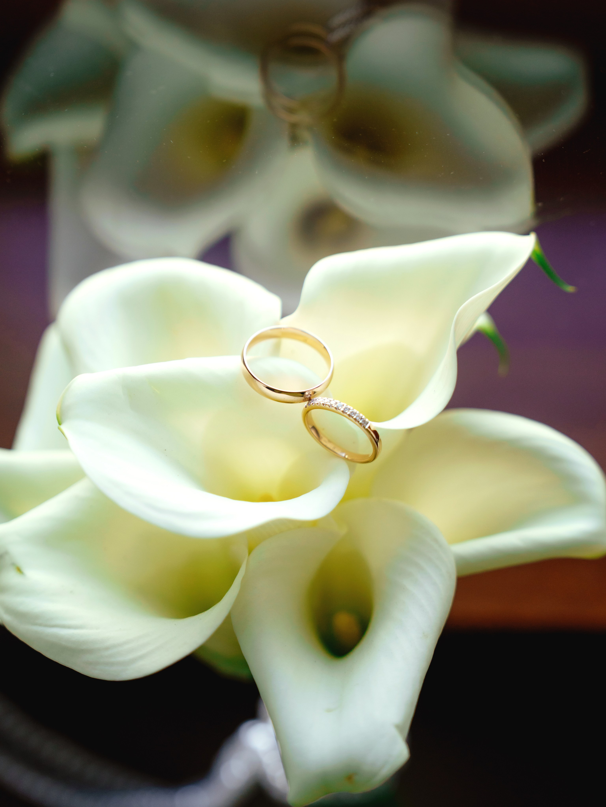 Никита и Полина. Главная