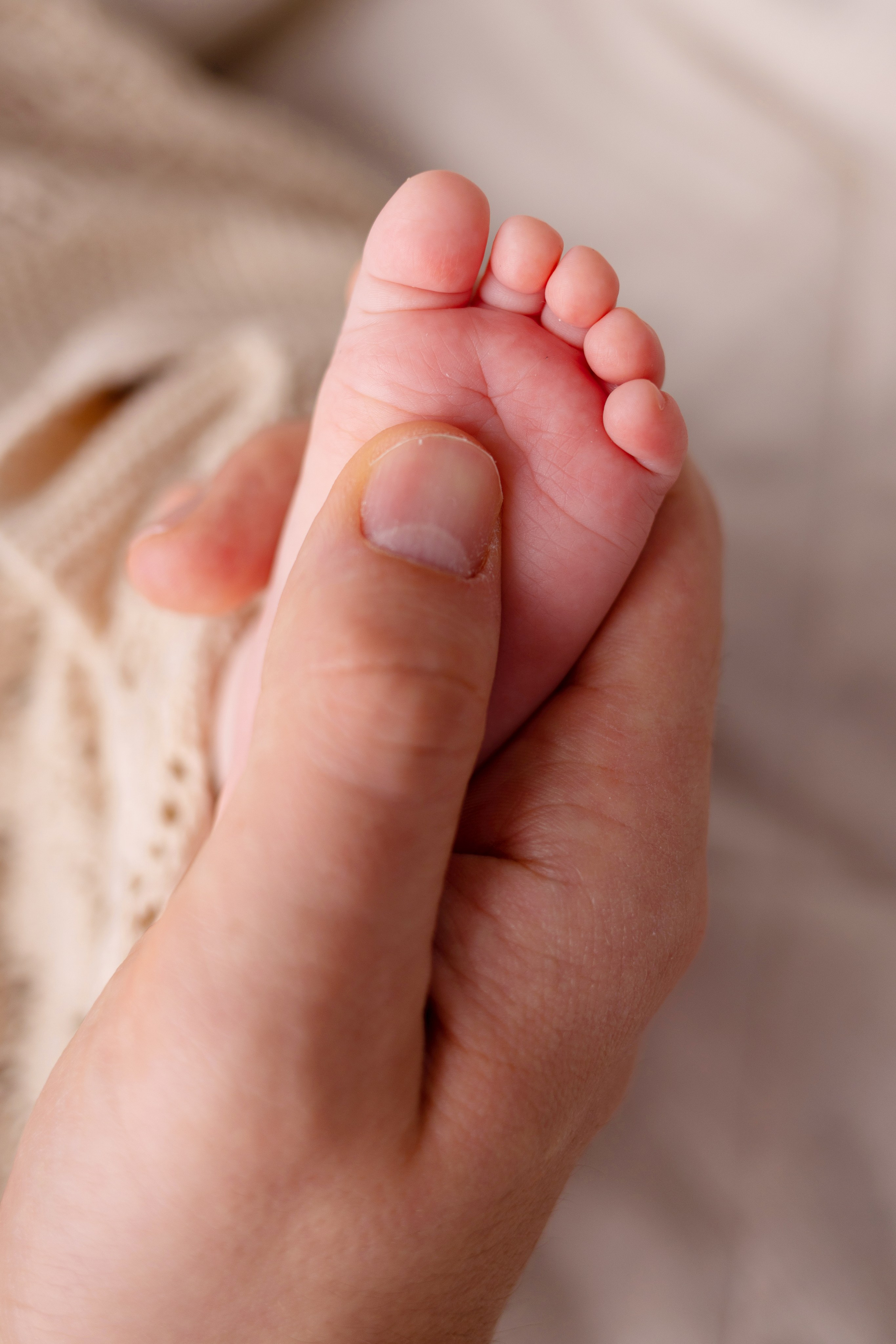 Newborn съемка в стиле Лайф. Фотограф новорожденных малышей в Омске и Омской области Эльвира Камаева