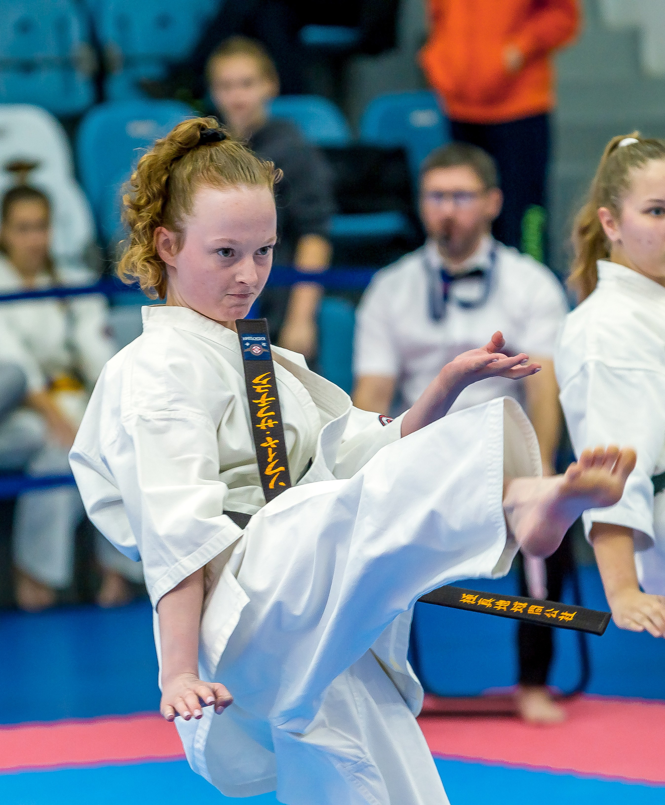 Соревнования по Киокушин памяти С. Увицкого. Репортажная съемка в Москве и области. Анималистика