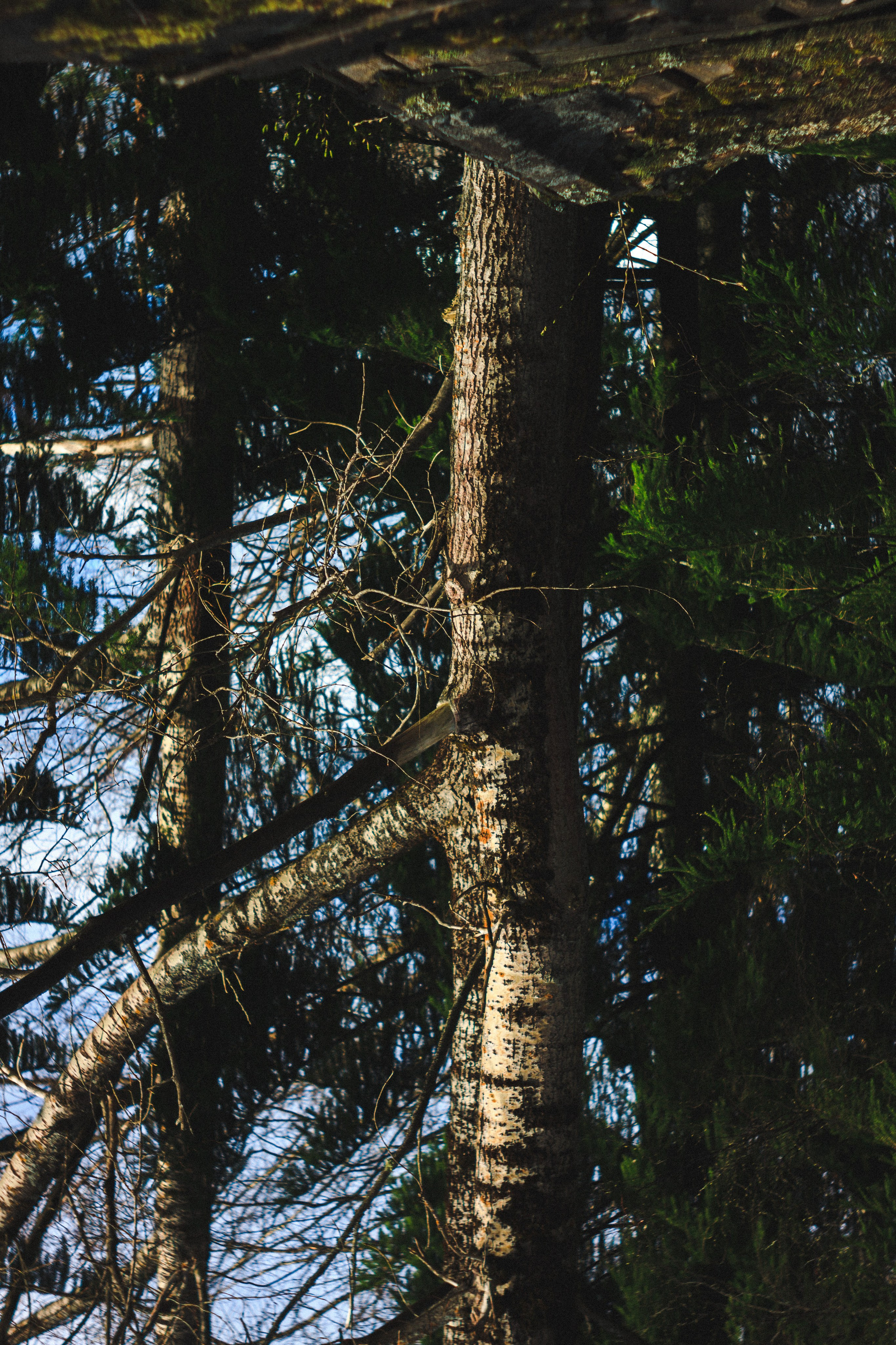 Деревня. Den Mirov — Photographer, Musician