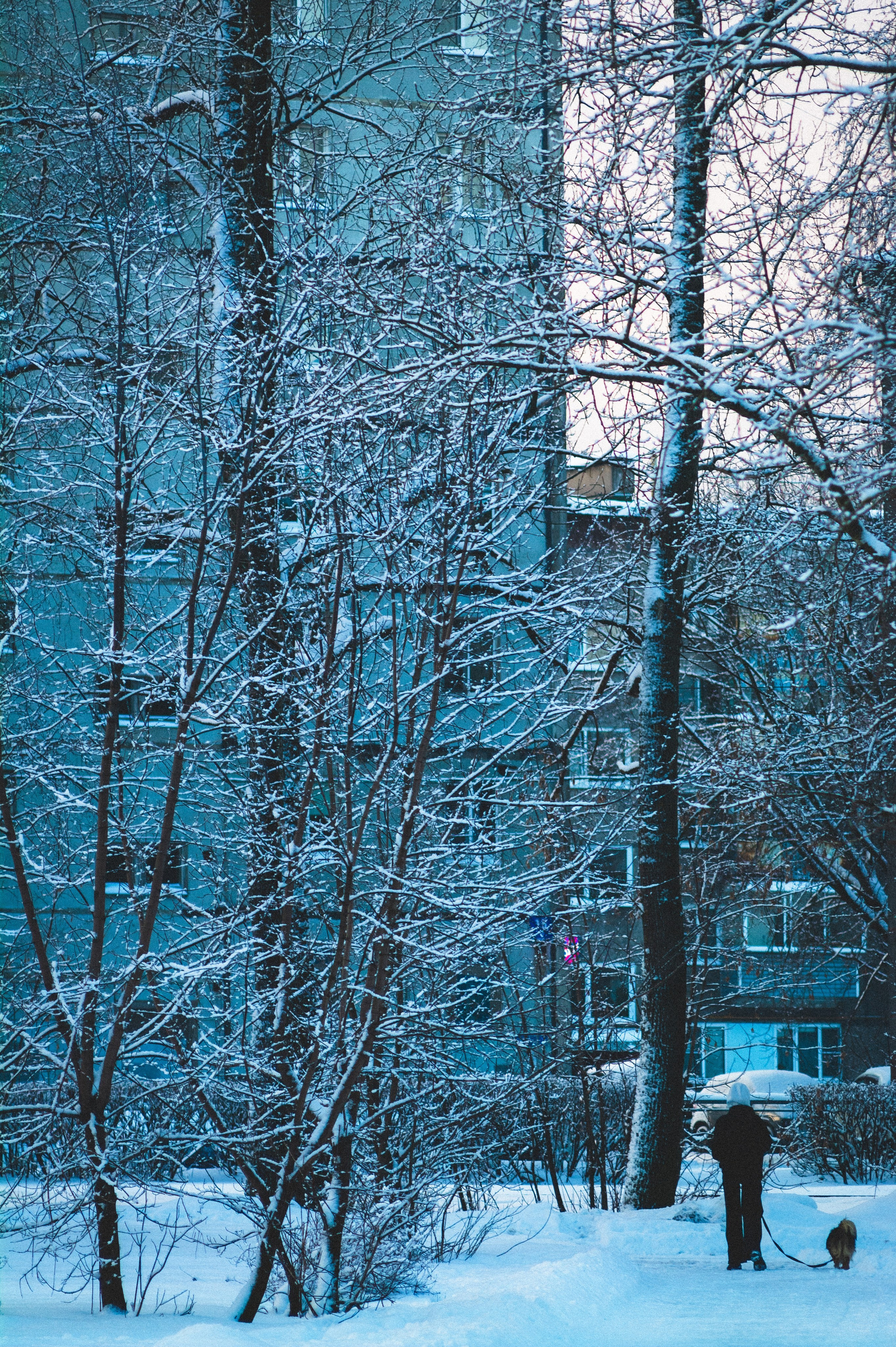 Cold. Soft. Den Mirov — Photographer, Musician