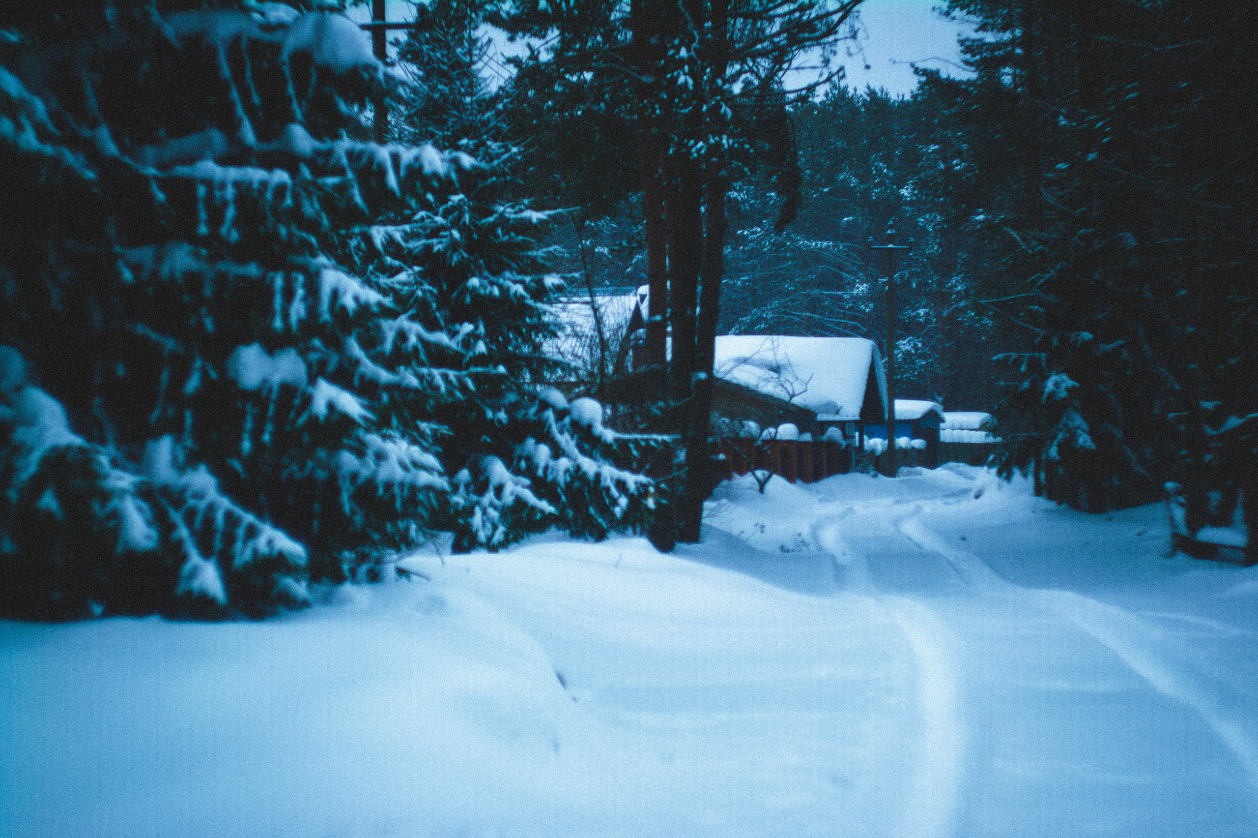 Mindfulness. Den Mirov — Photographer, Musician