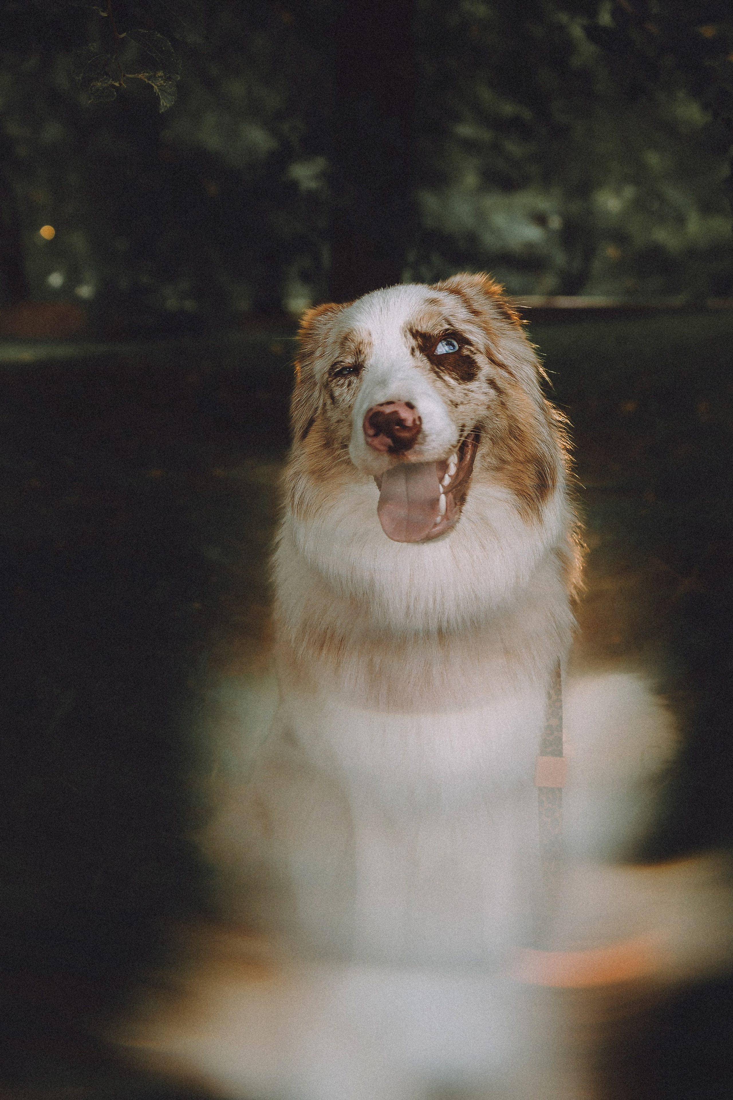 Один и его семья