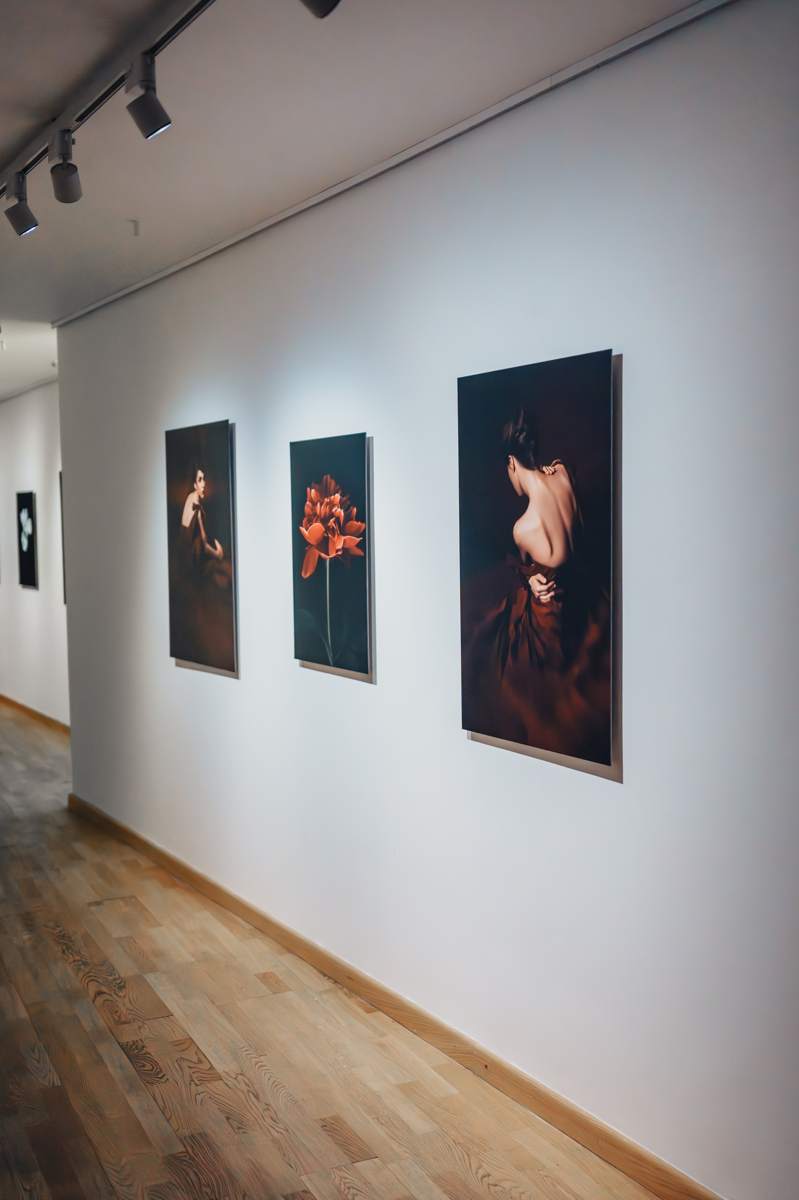 Выставка на крыше Парка Горького. Семейный и детский фотограф и видеограф в Москве, Серпухове и Тарусе Валерия Сорокина