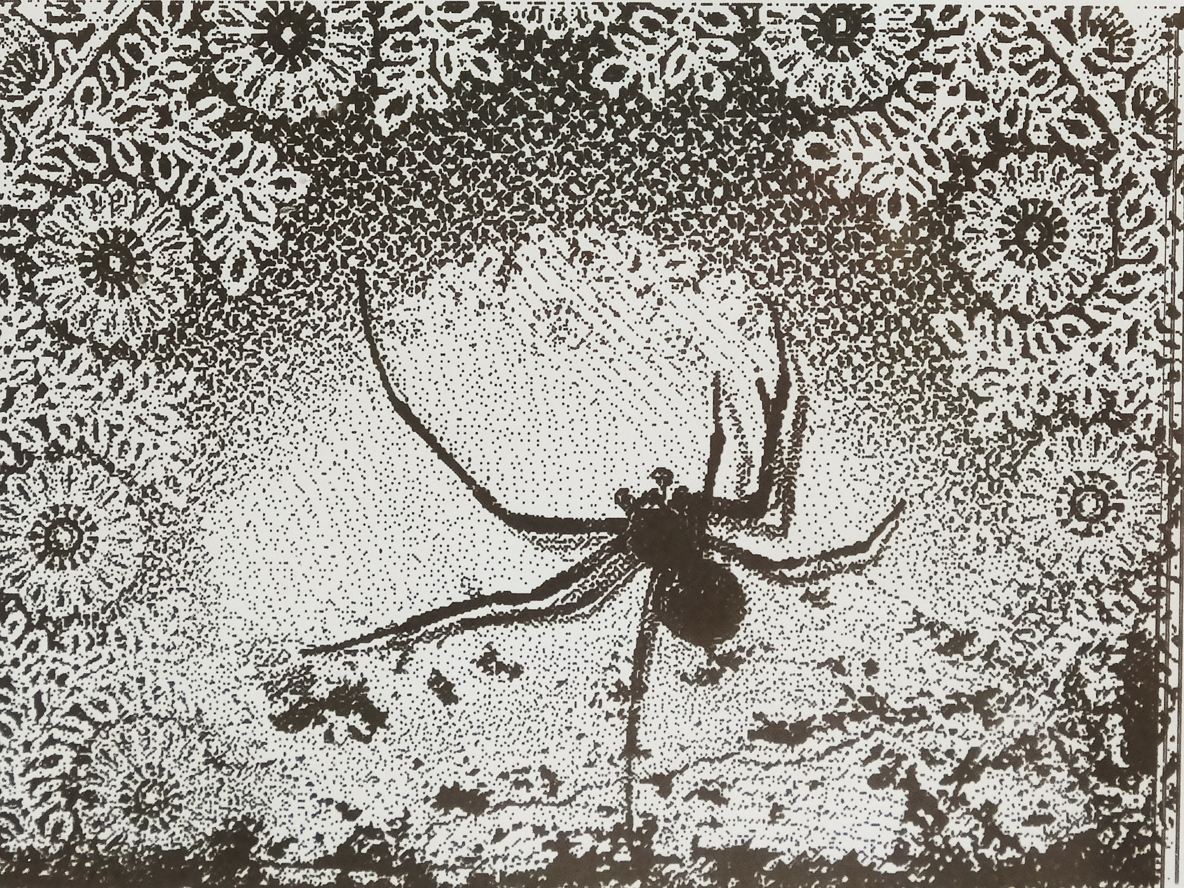 Осколки ужаса. Мария Завьялова | фотограф и преподаватель фотографии