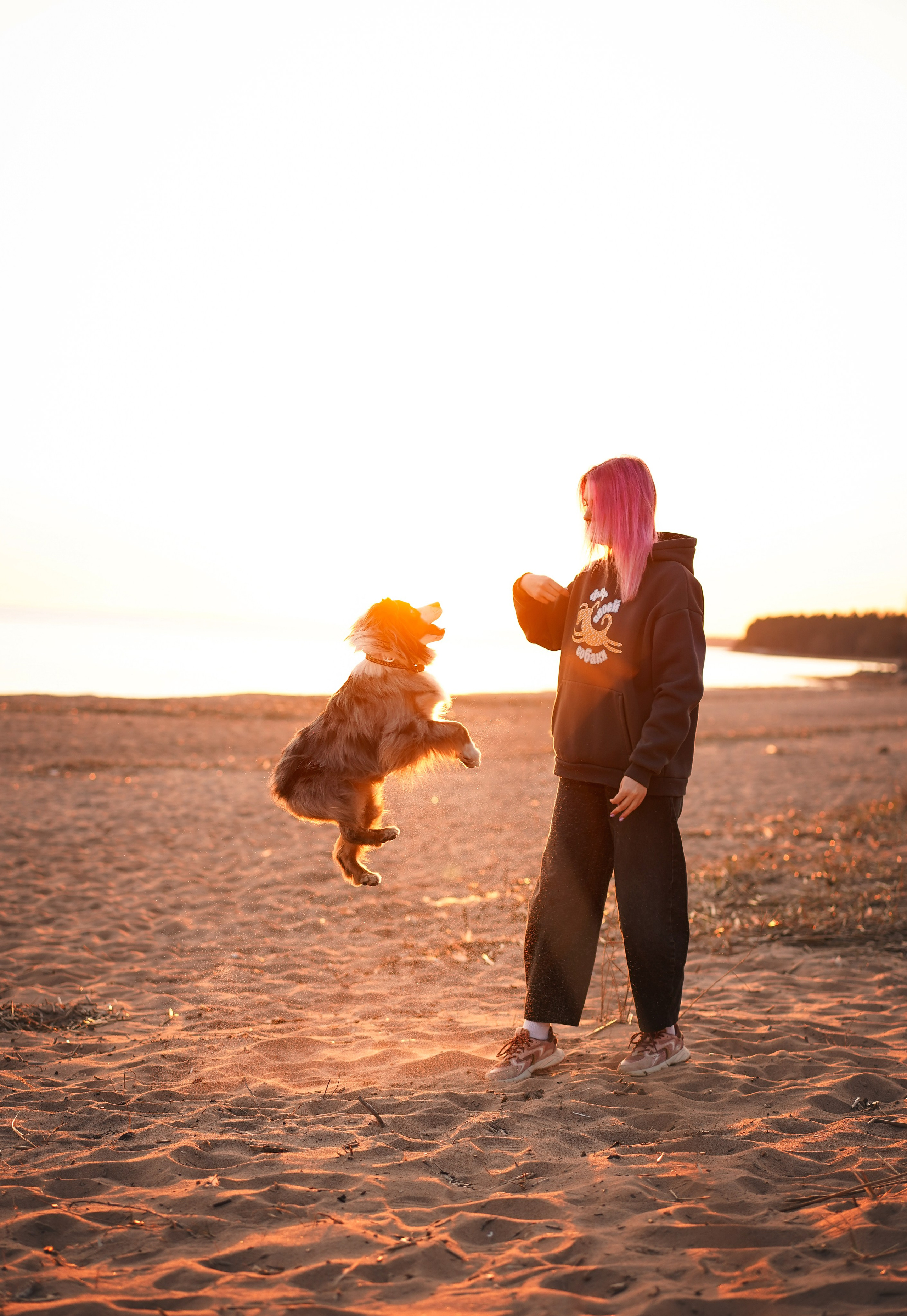 Алиса и Джокер. Фотограф-анималист в Санкт-Петербурге Яна Мартынова