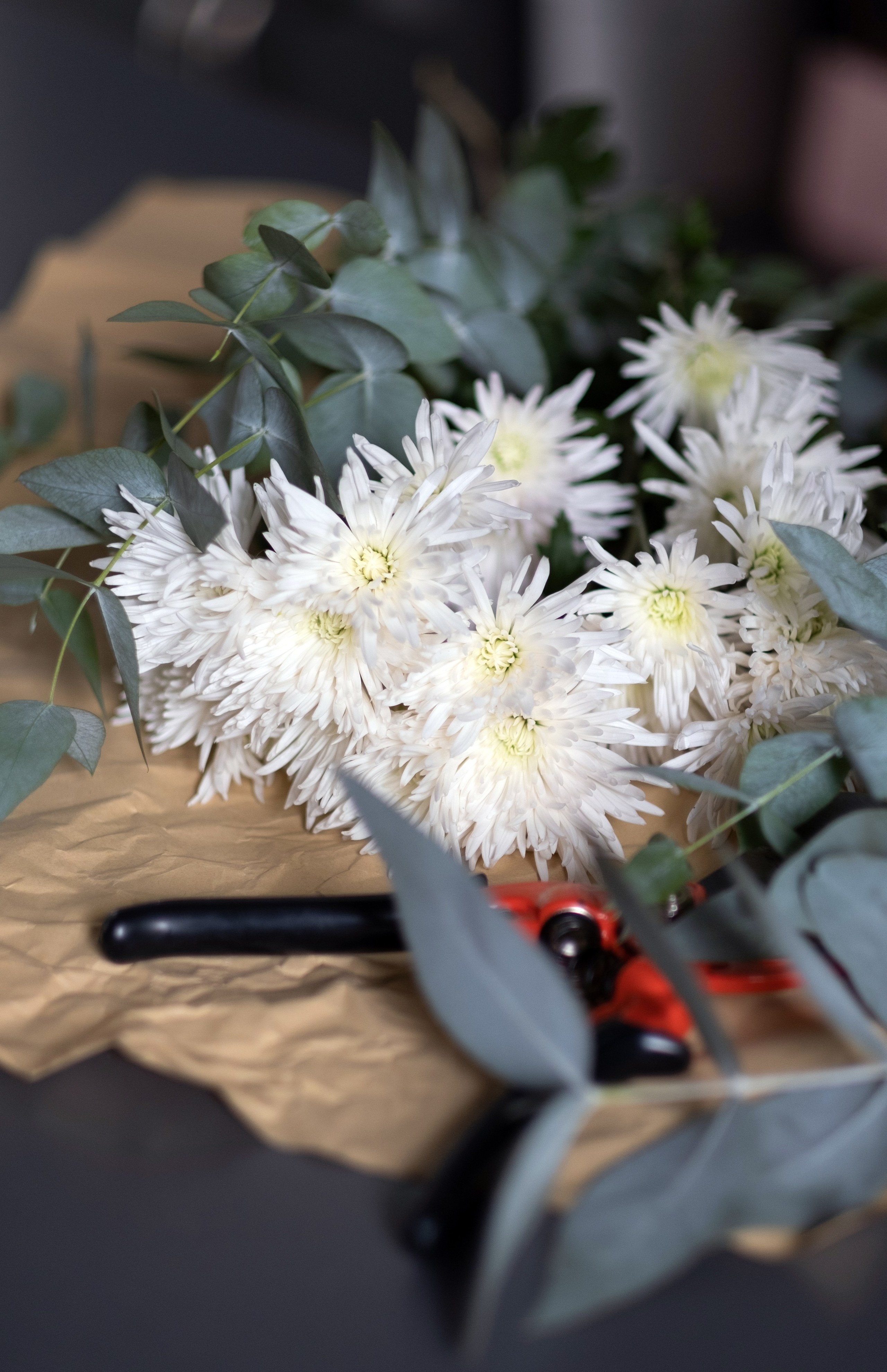 Цветочная студия Flower Garden. Профессиональный фотограф Ольга Терехова СПБ Батуми