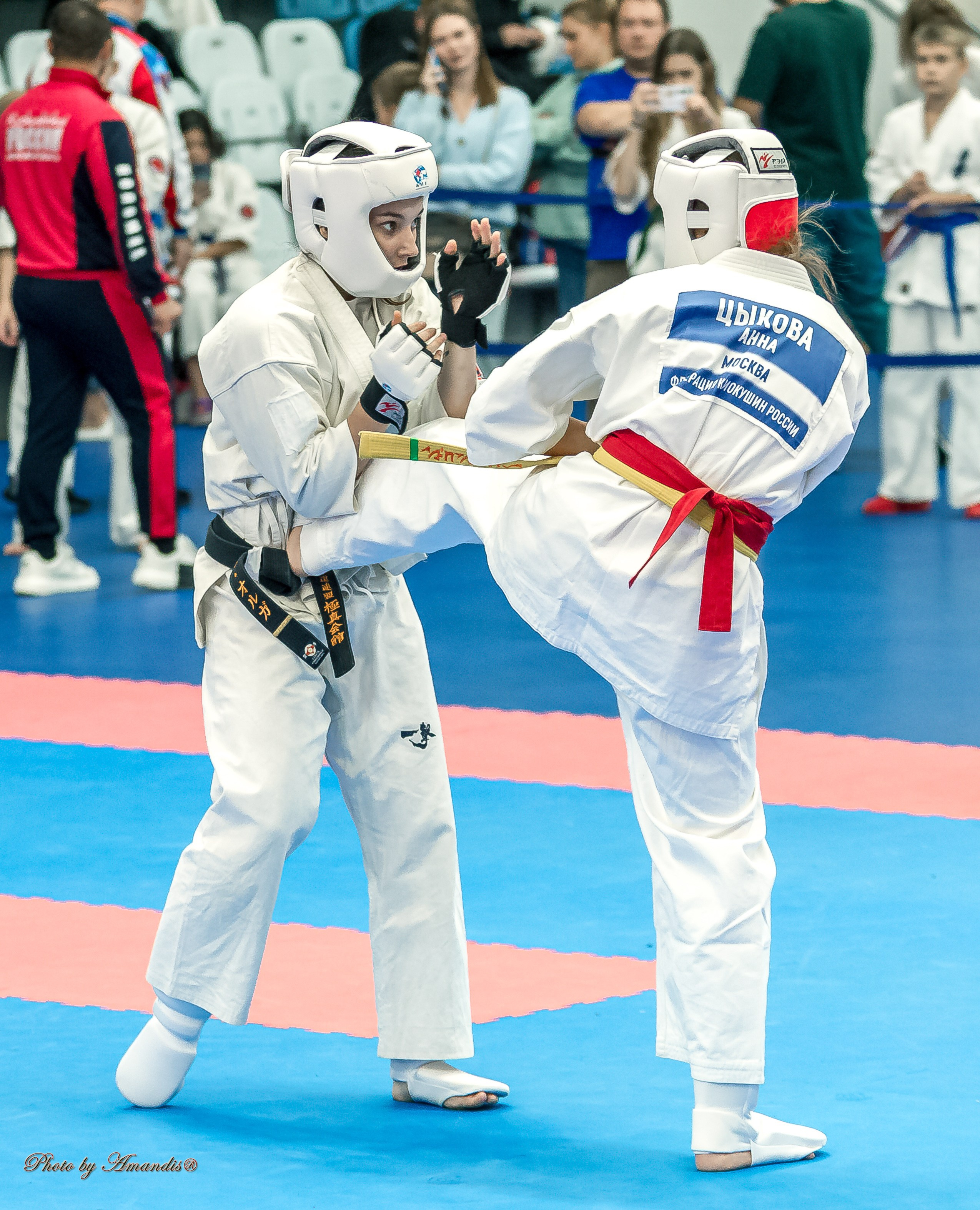 Чемпионат по Киокушинкай Центрального Федерального округа. Репортажная съемка в Москве и области. Анималистика