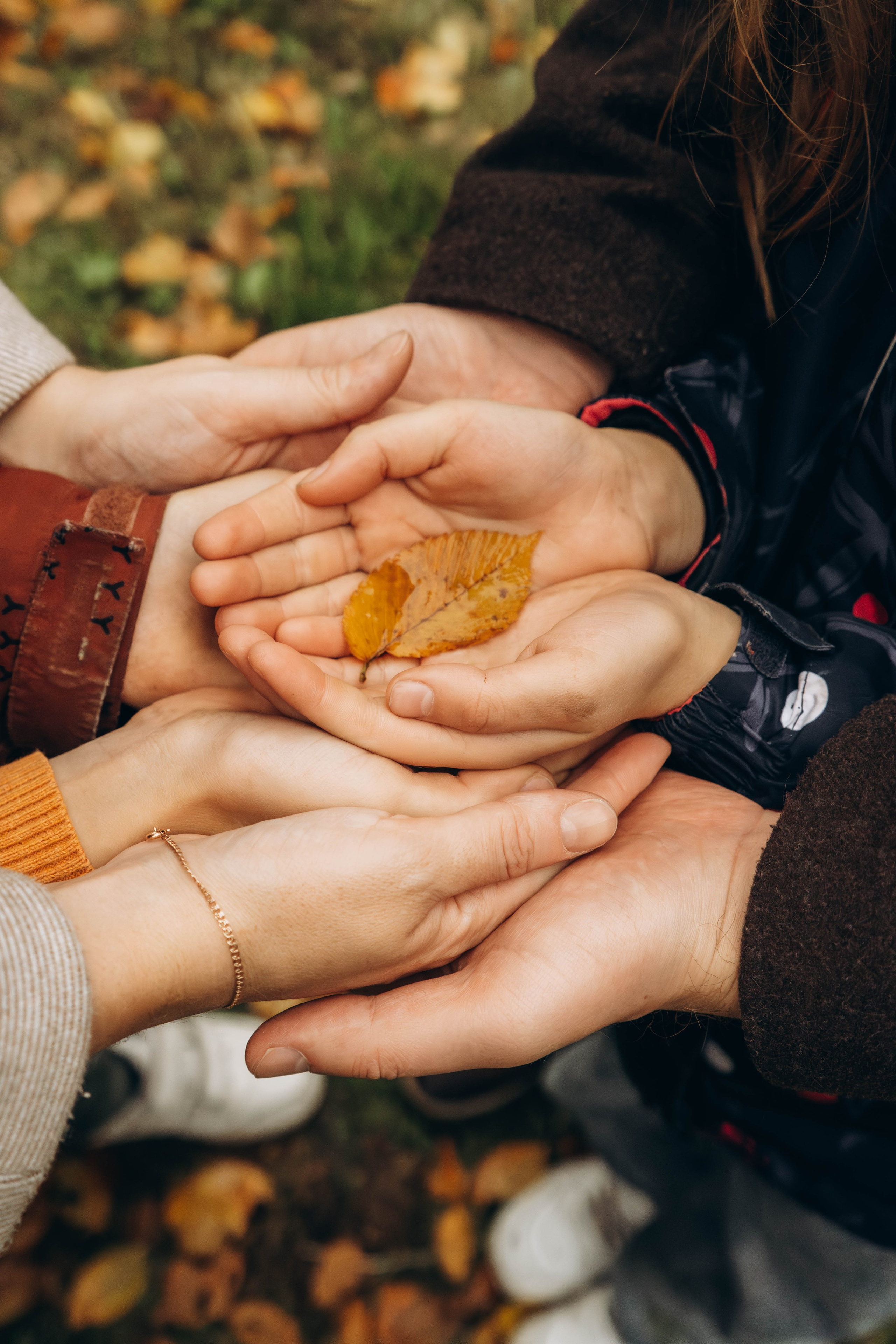 Осенняя семейная съемка в парке Царицыно. Фотограф Москва Валерия Веденина