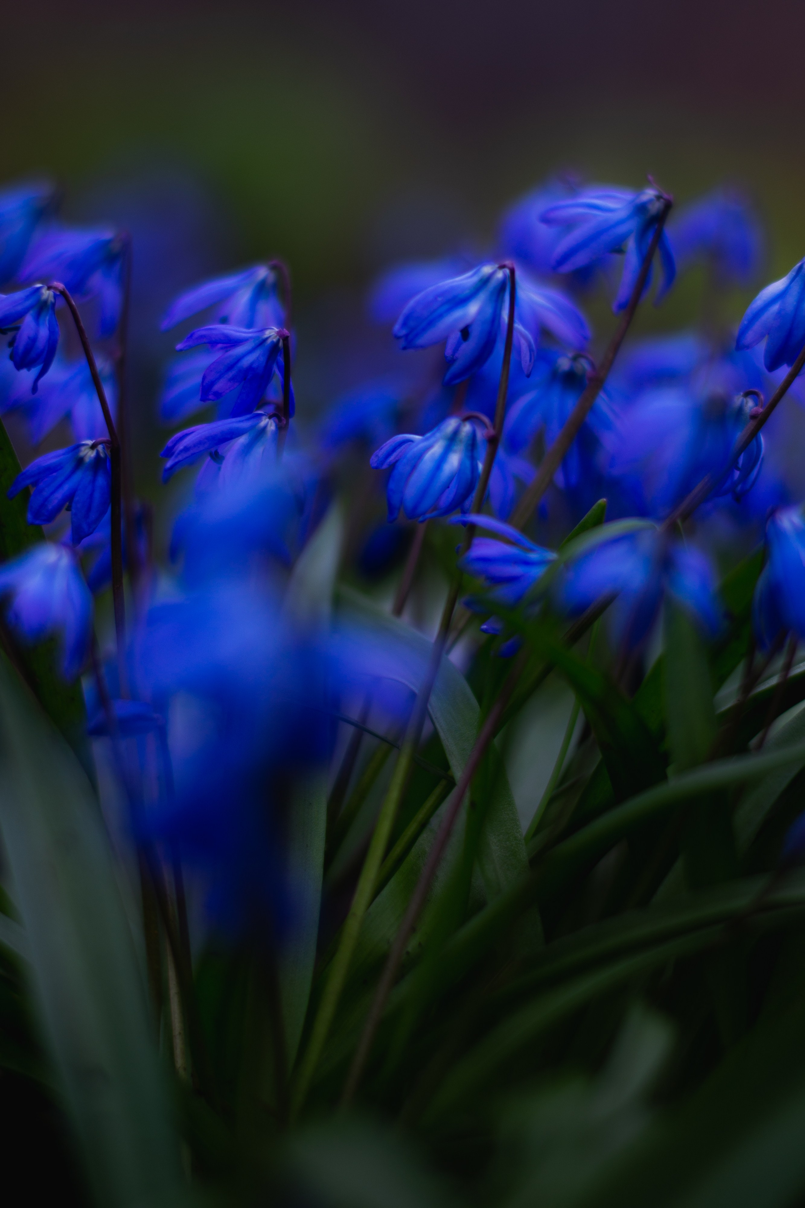 Wallpapers. Фотограф Казань