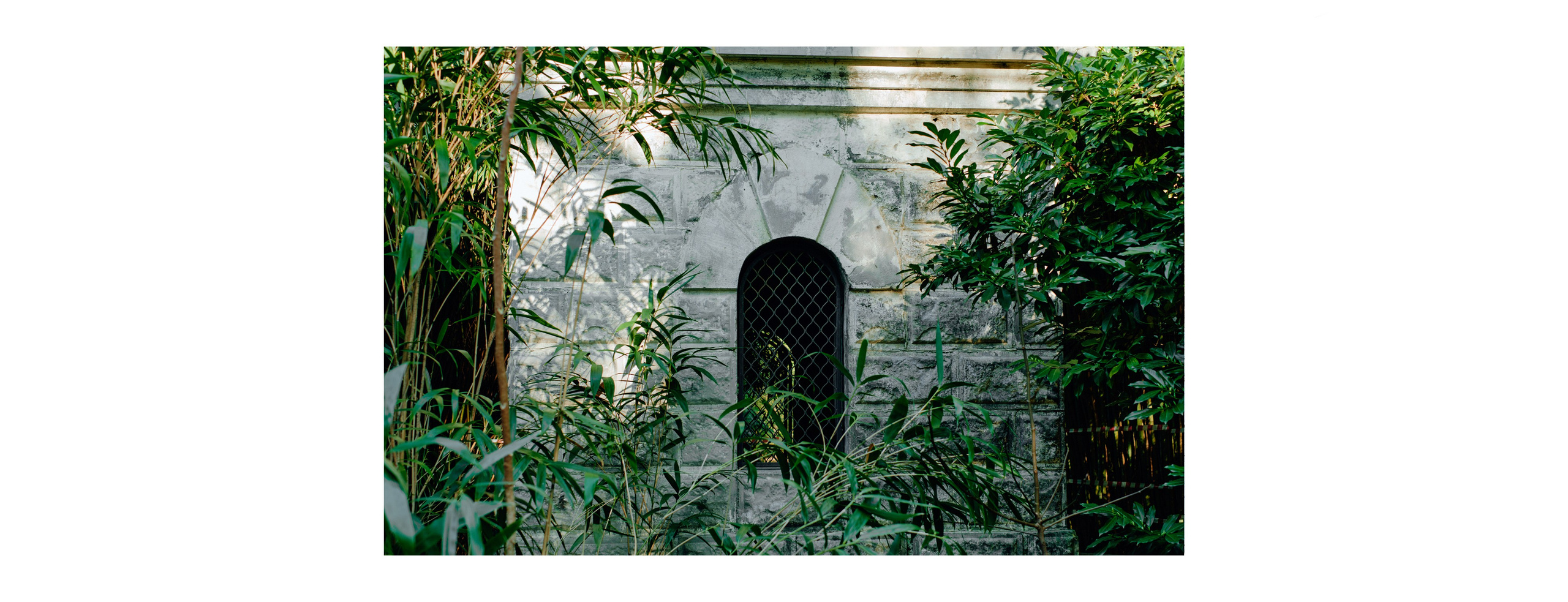 Роза Хутор 2025. Фотограф Аннё| Москва