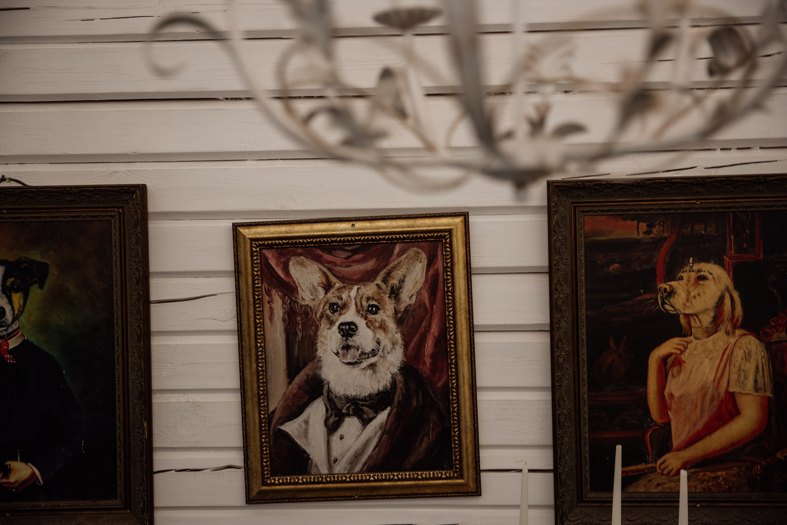 DUDKI DACHA. Свадебный фотограф Дмитрий Воробьев Ярославль