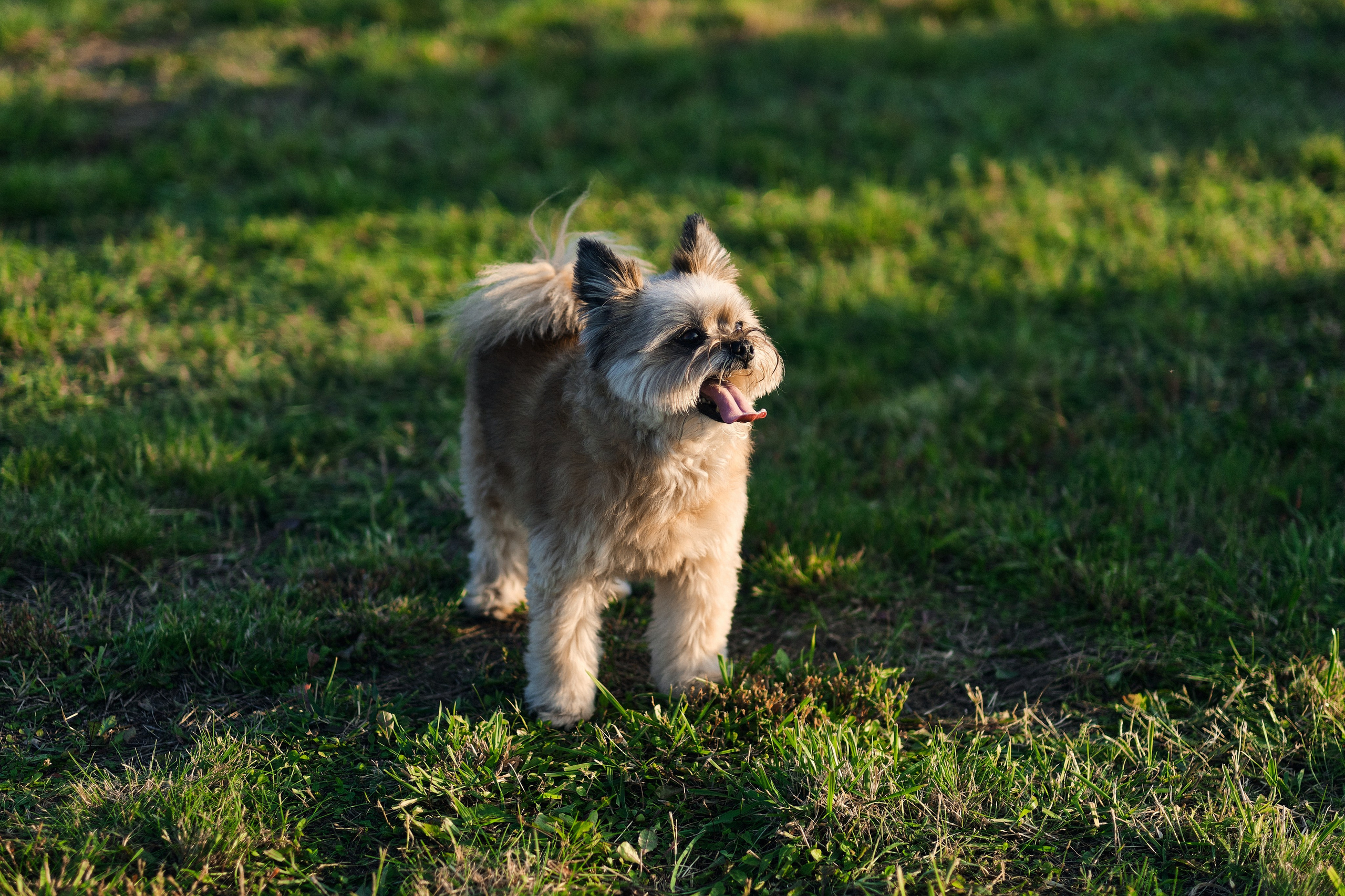 РЕПОРТАЖ. Свадебный и портретный фотограф Орлов Никита