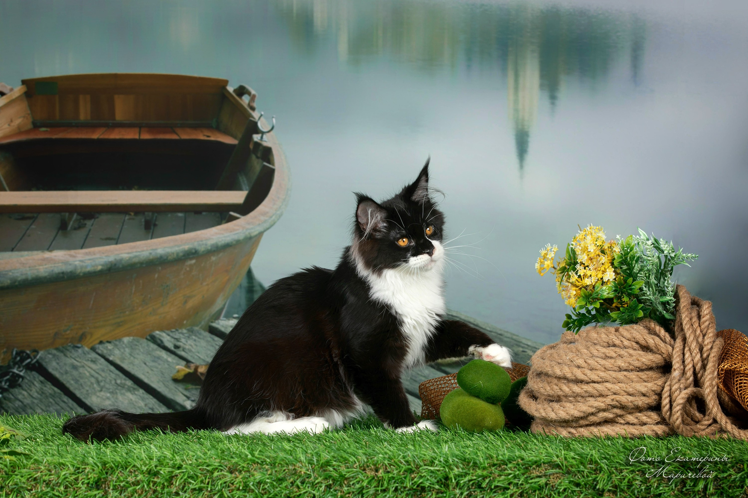 Тематические фоны с рисунком. Фотограф-анималист в Омске Екатерина Маричева