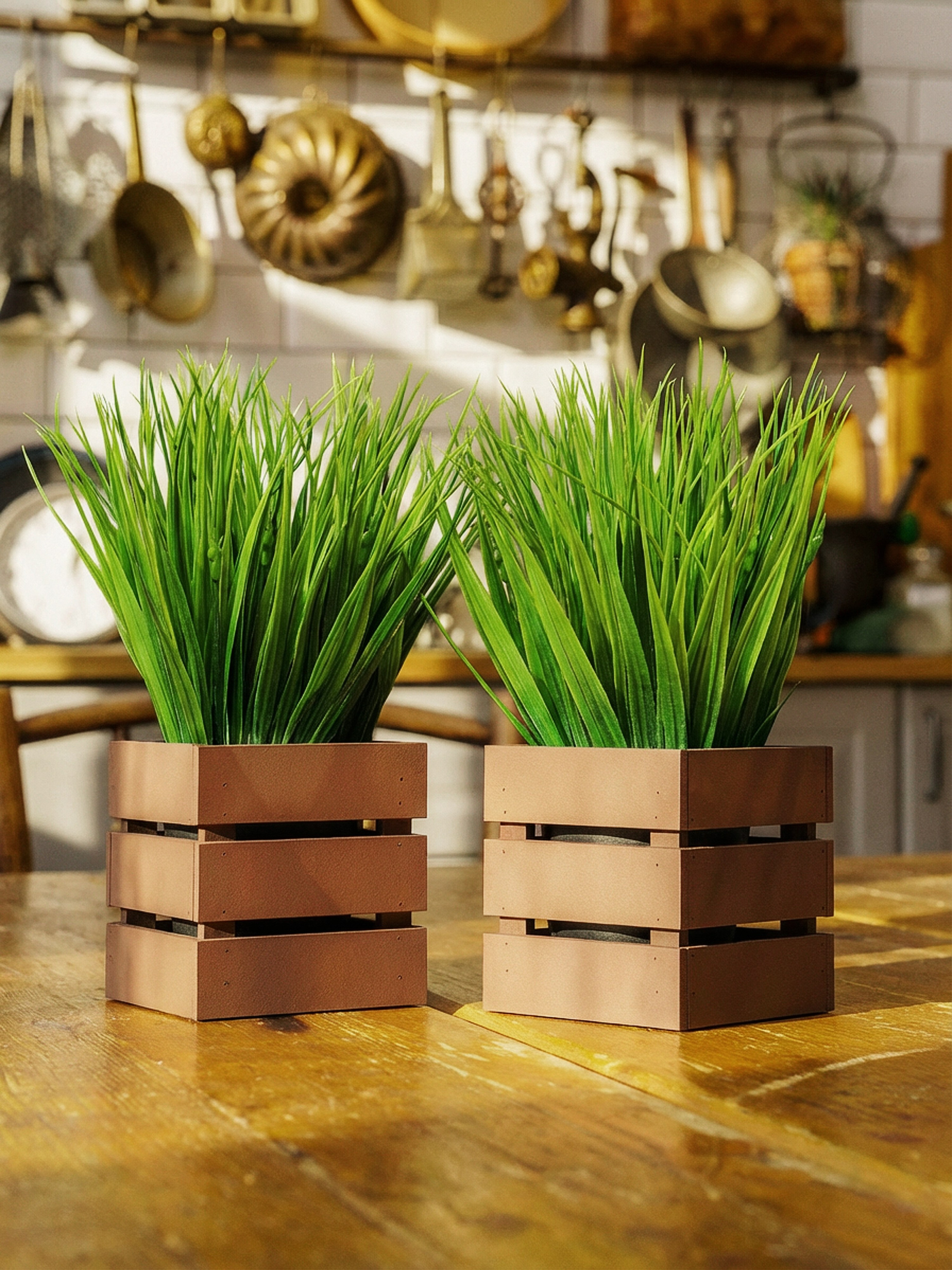 Кашпо. Макаров Сергей|Creamlebot Фотограф города Ростов-на-Дону