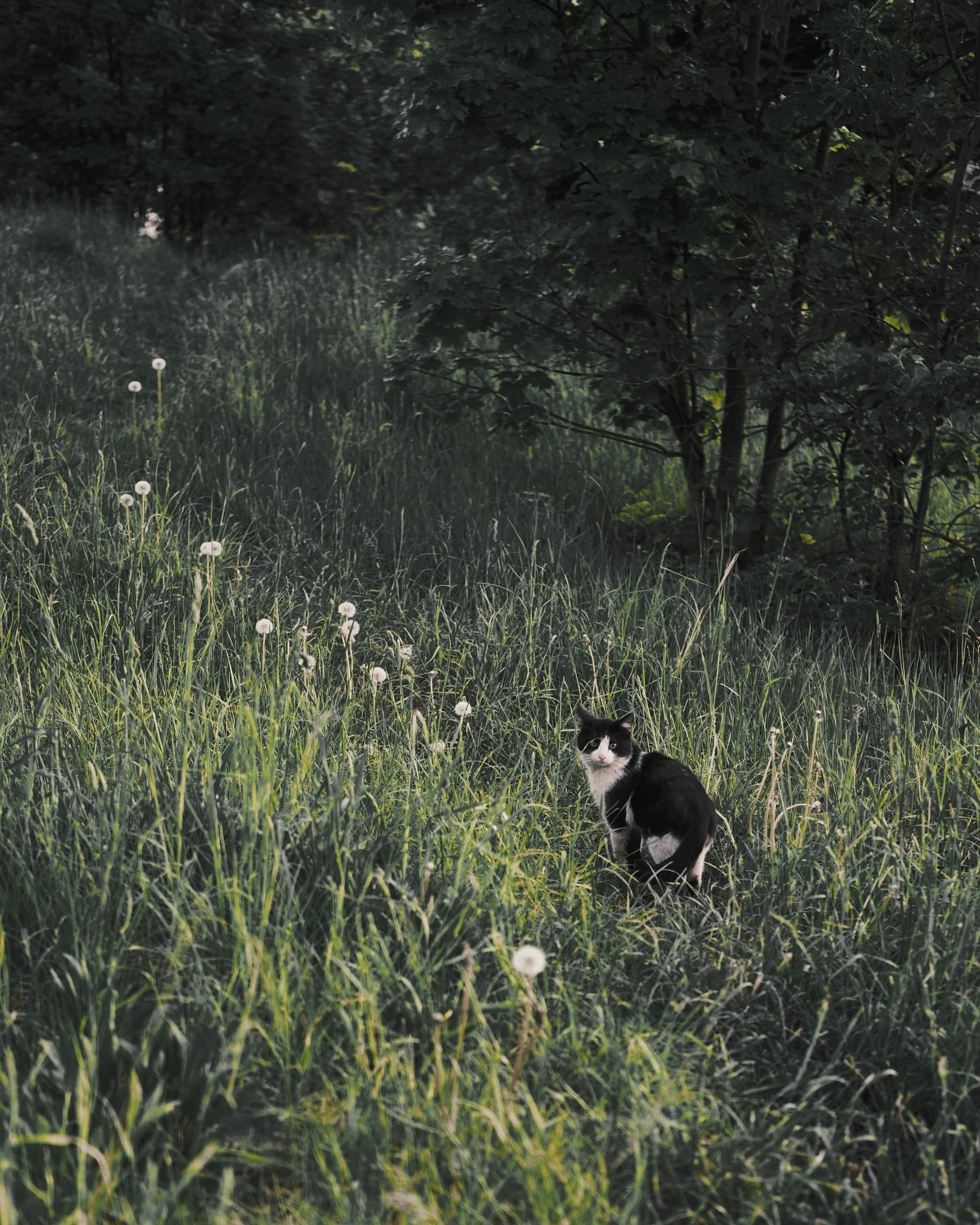 Природа. Фотограф Маргана Лоция