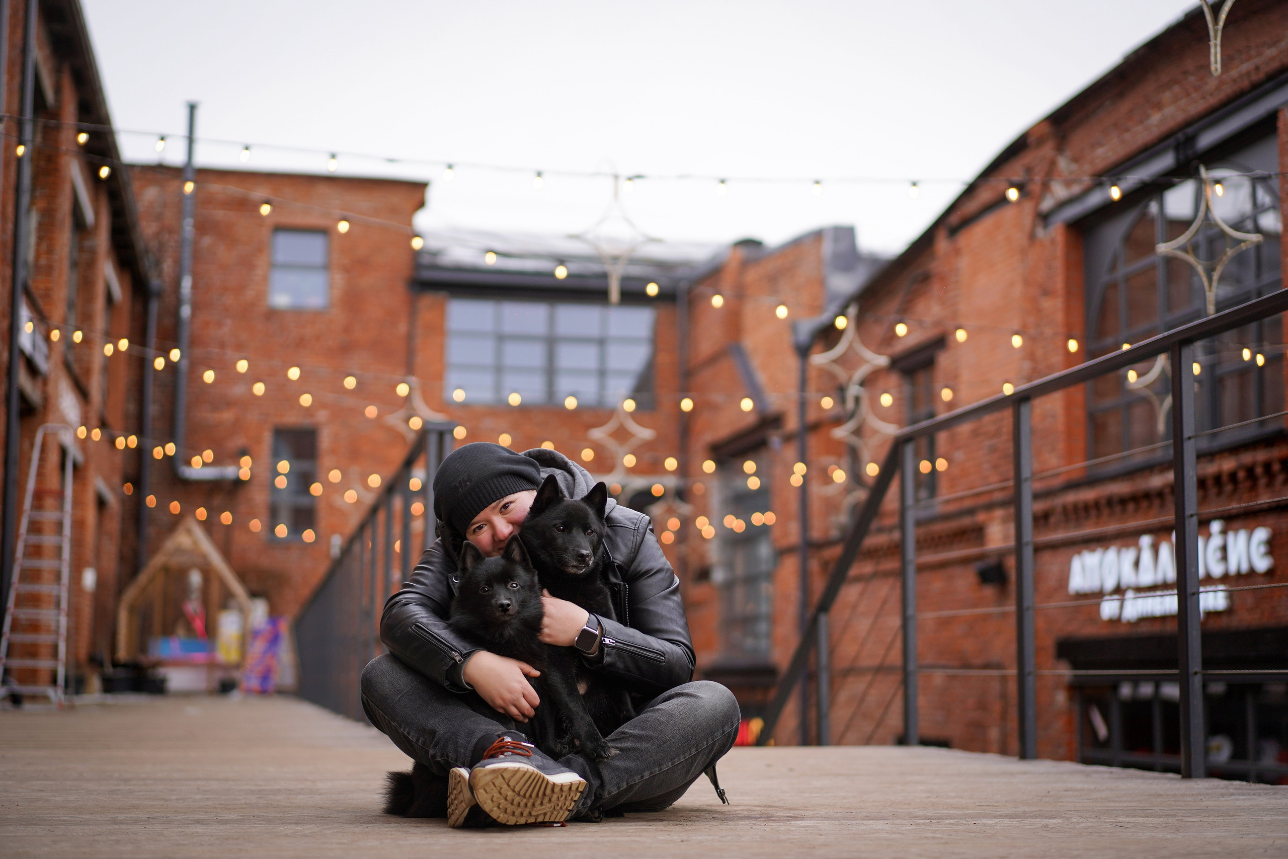 Аня Арчи и Мишель. Фотограф-анималист в Санкт-Петербурге Яна Мартынова
