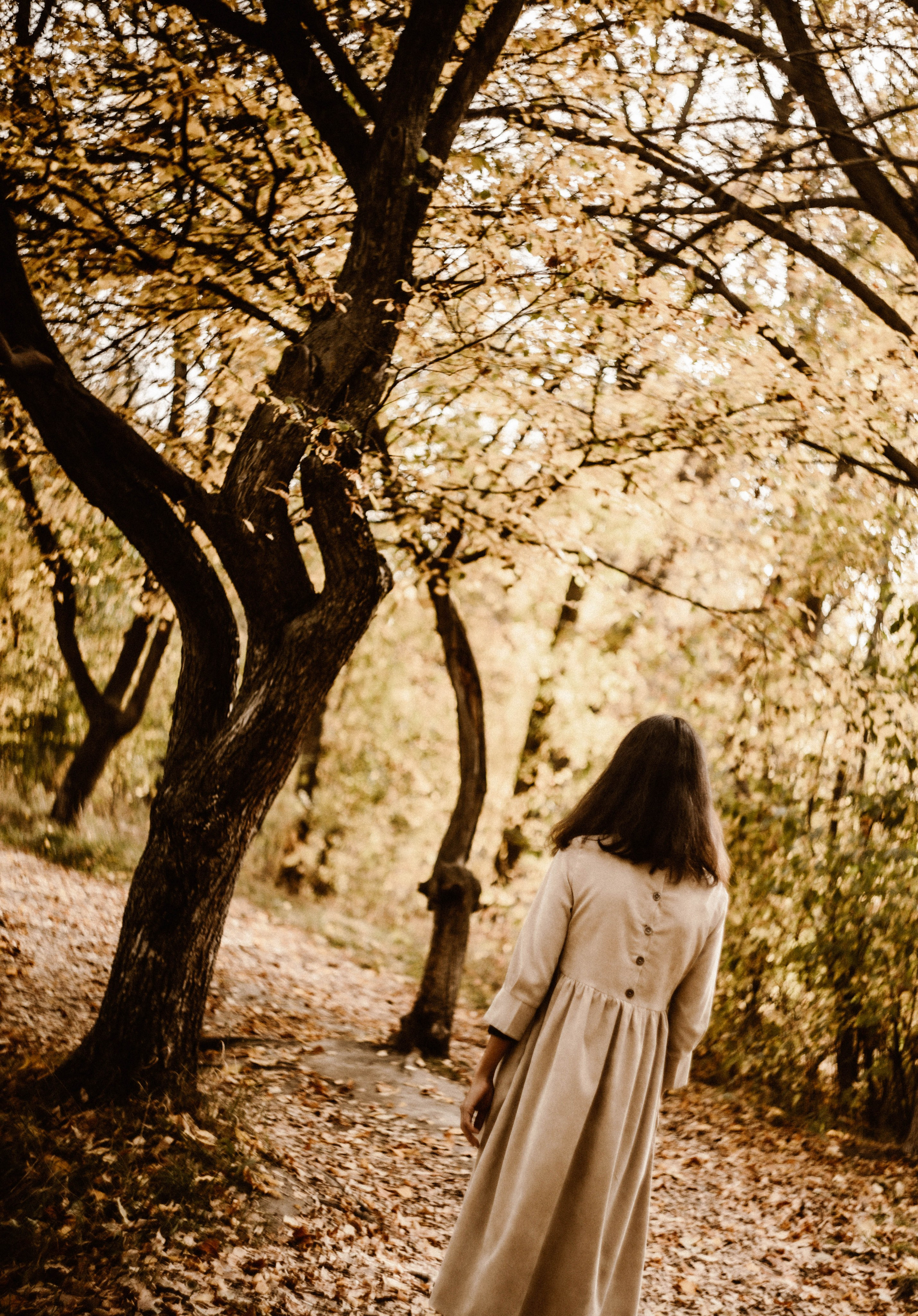 Земснаряд осенний. Фотограф в Нижнем Новгороде